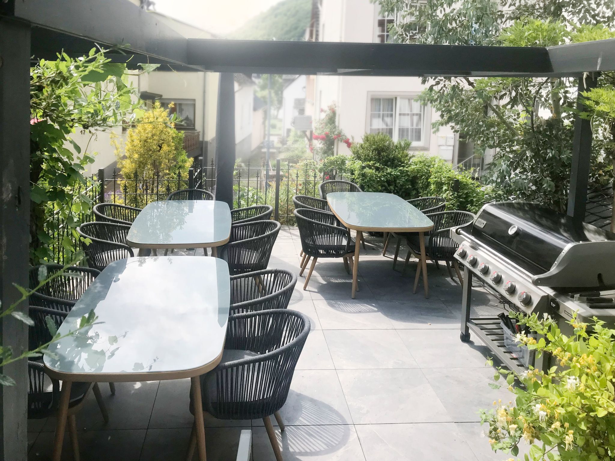 Olive Tree-Image-tags.info