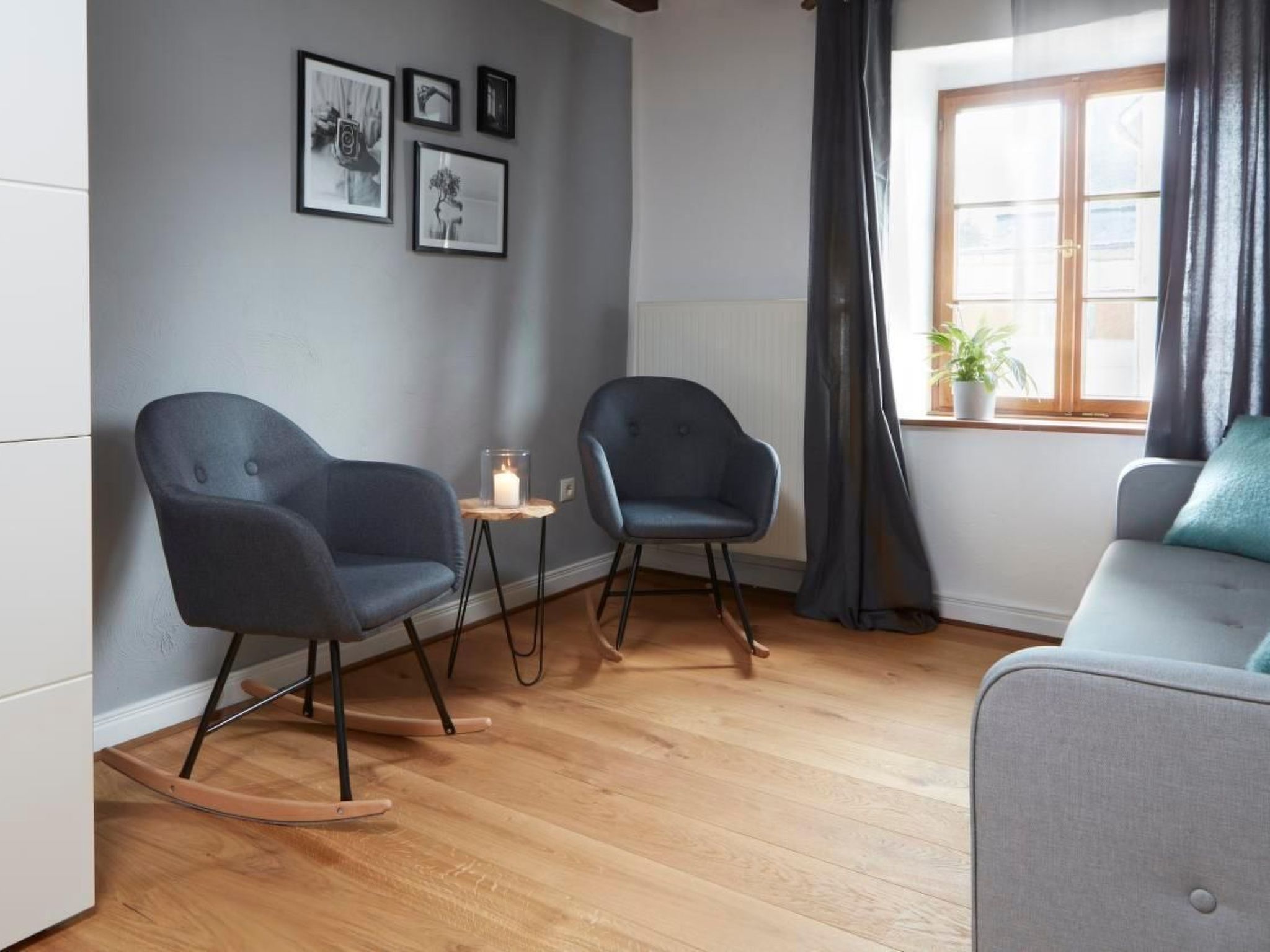 Olive Tree-Image-tags.info