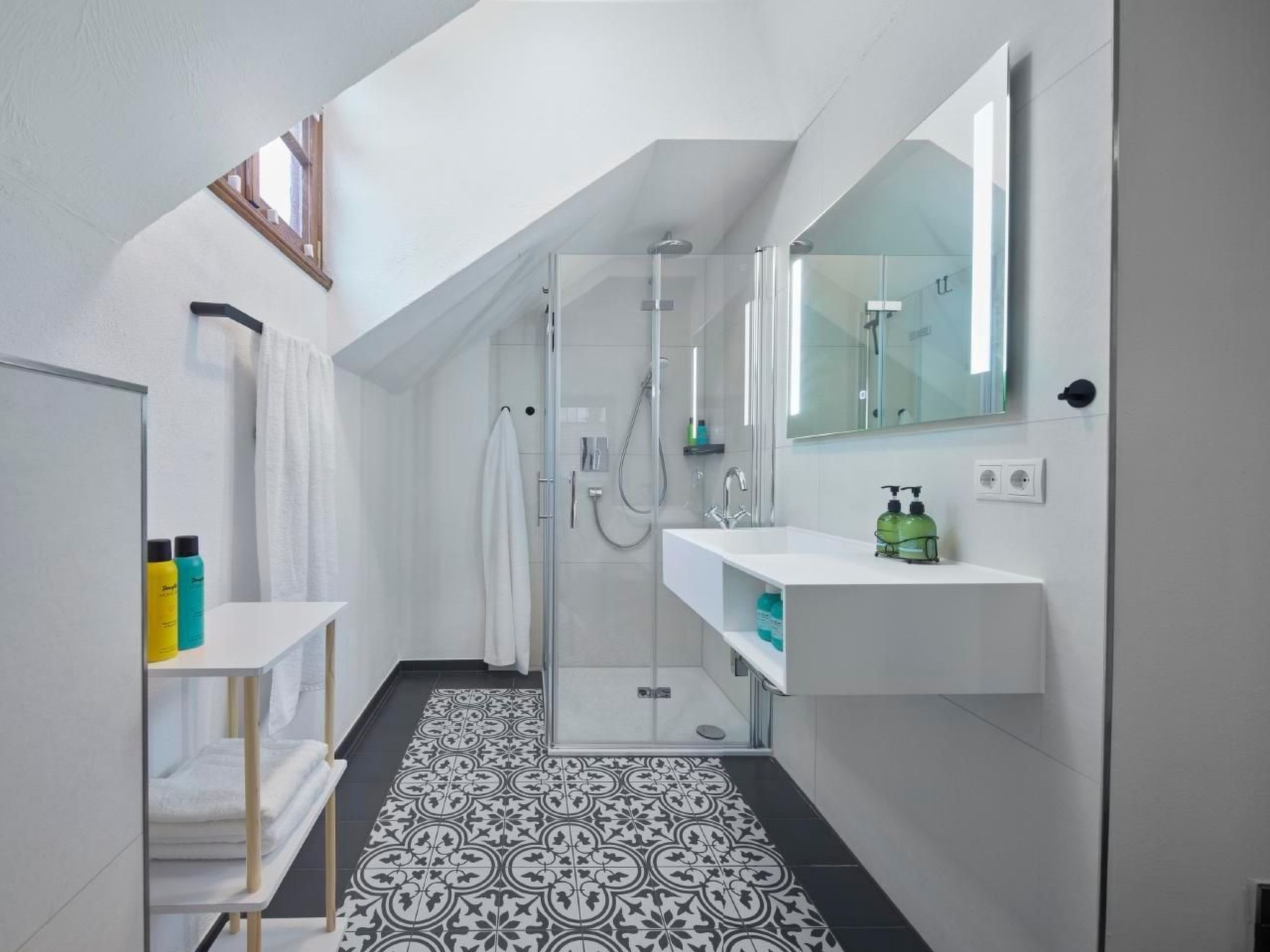 Olive Tree-Image-tags.info