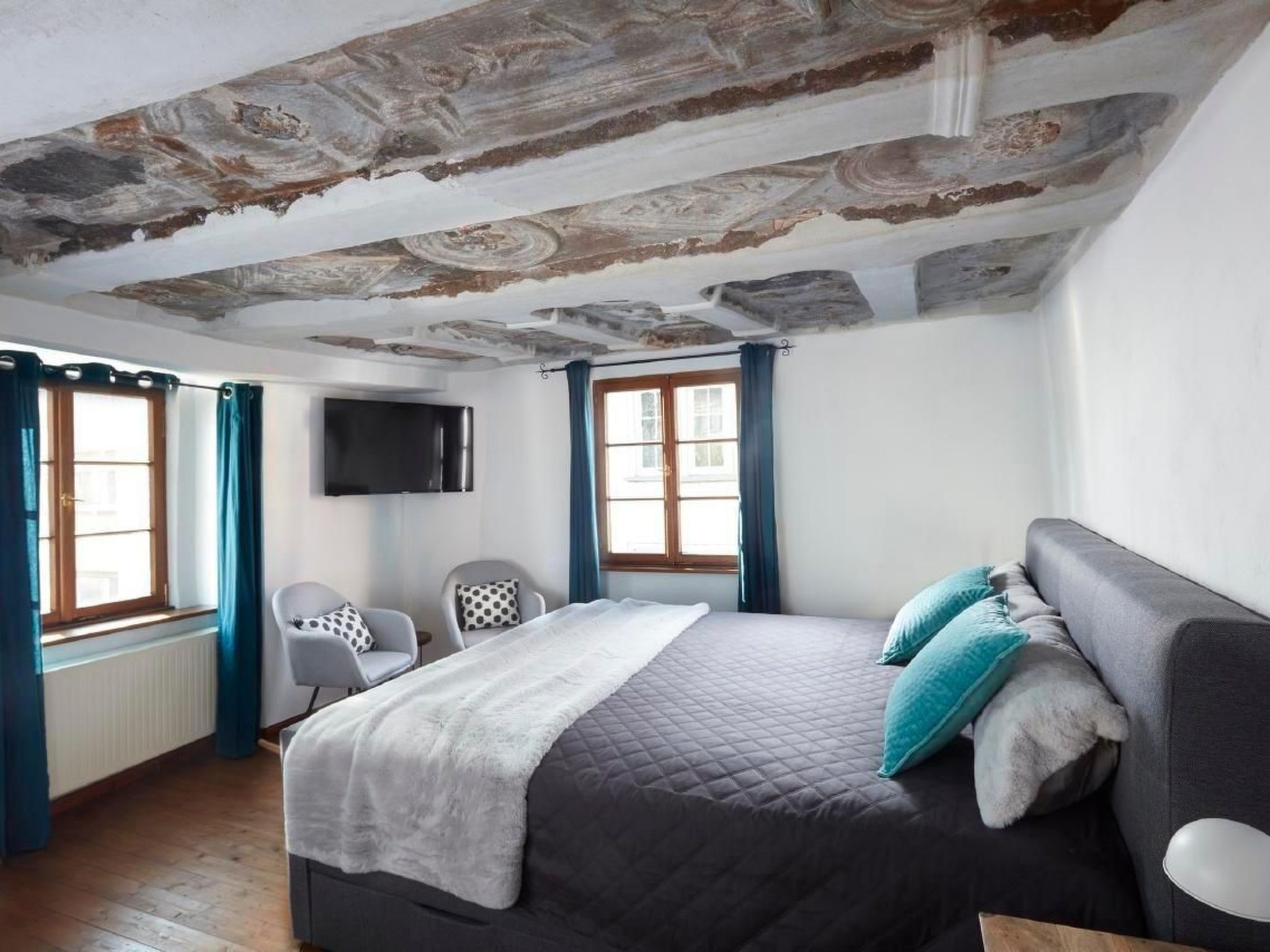 Olive Tree-Image-tags.info