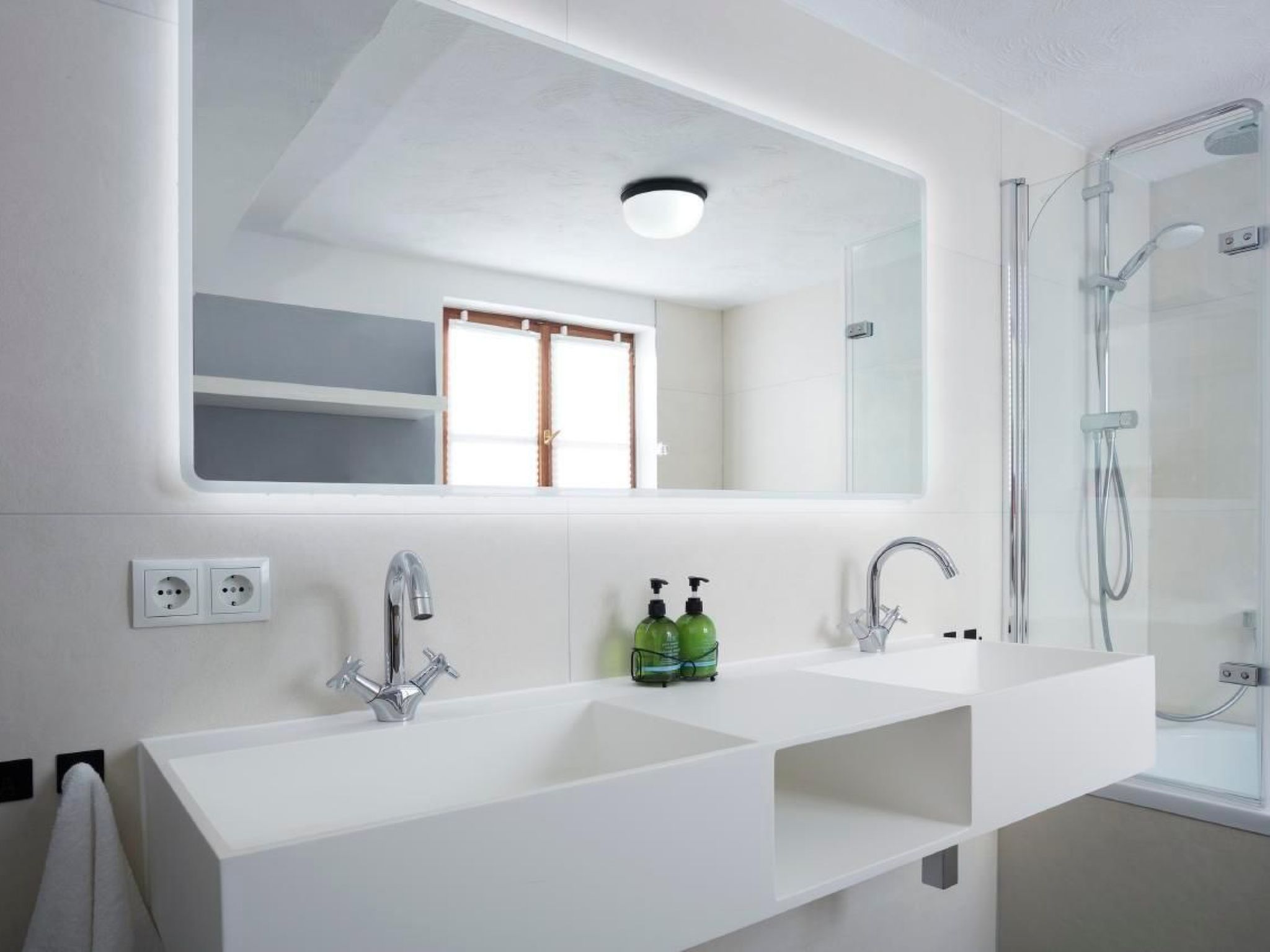 Olive Tree-Image-tags.info