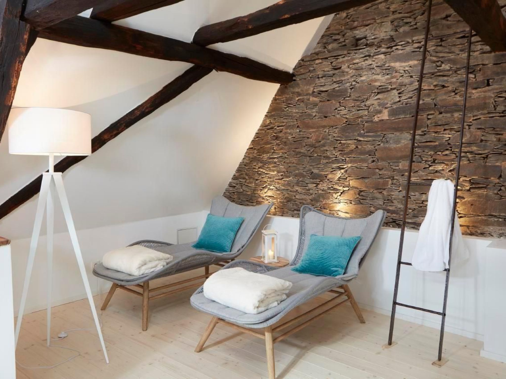 Olive Tree-Image-tags.info