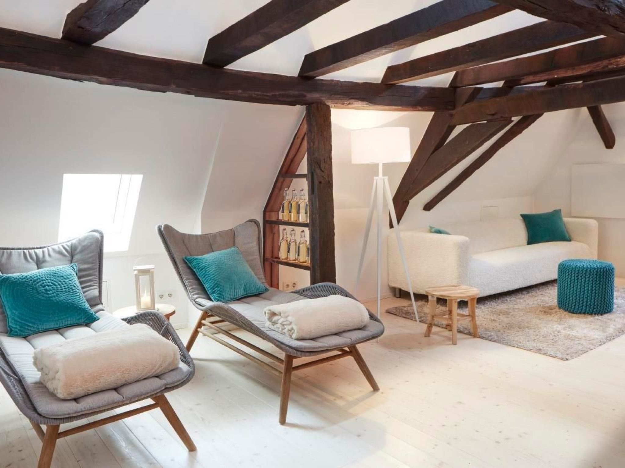 Olive Tree-Image-tags.info