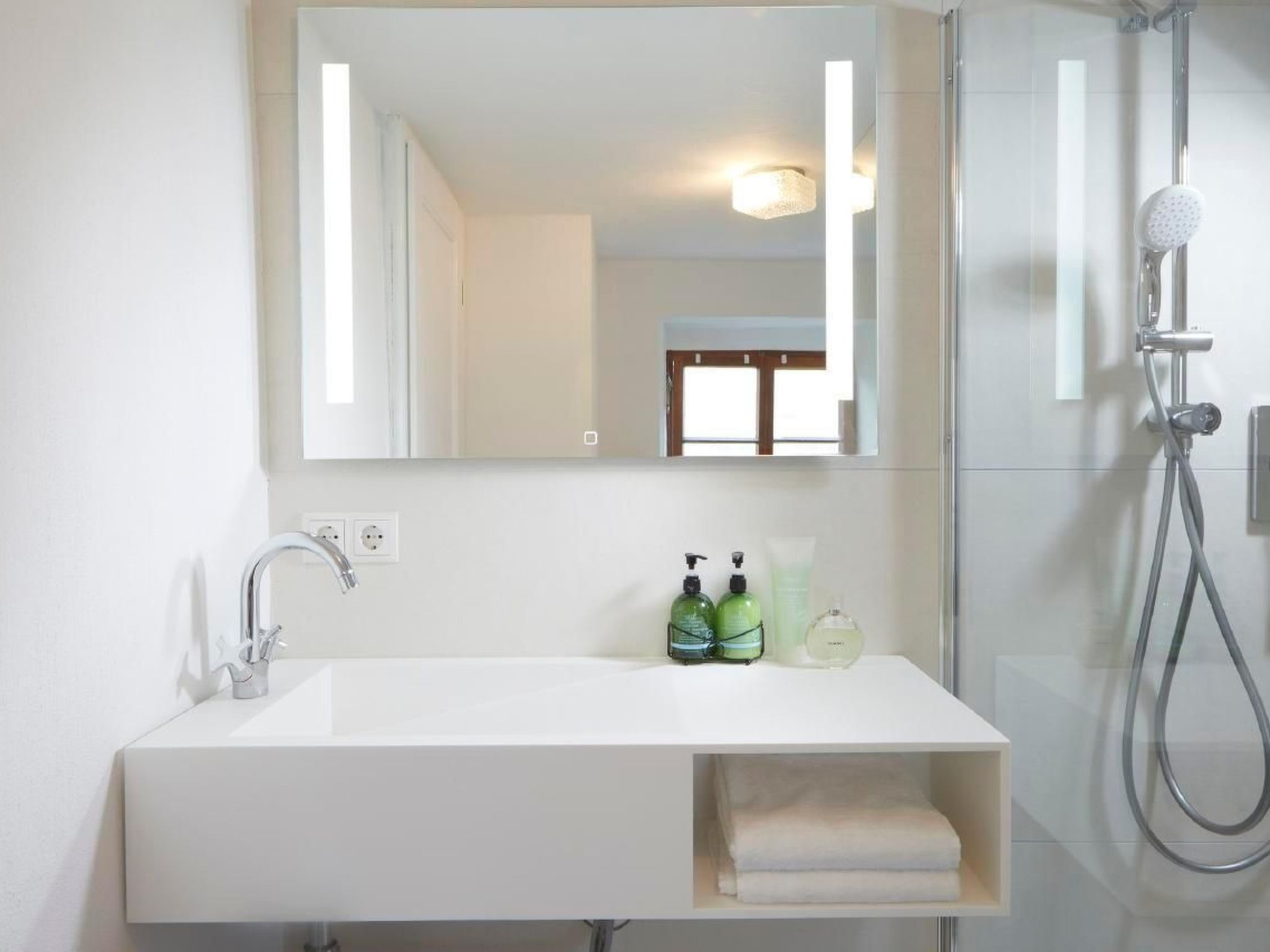 Olive Tree-Image-tags.info