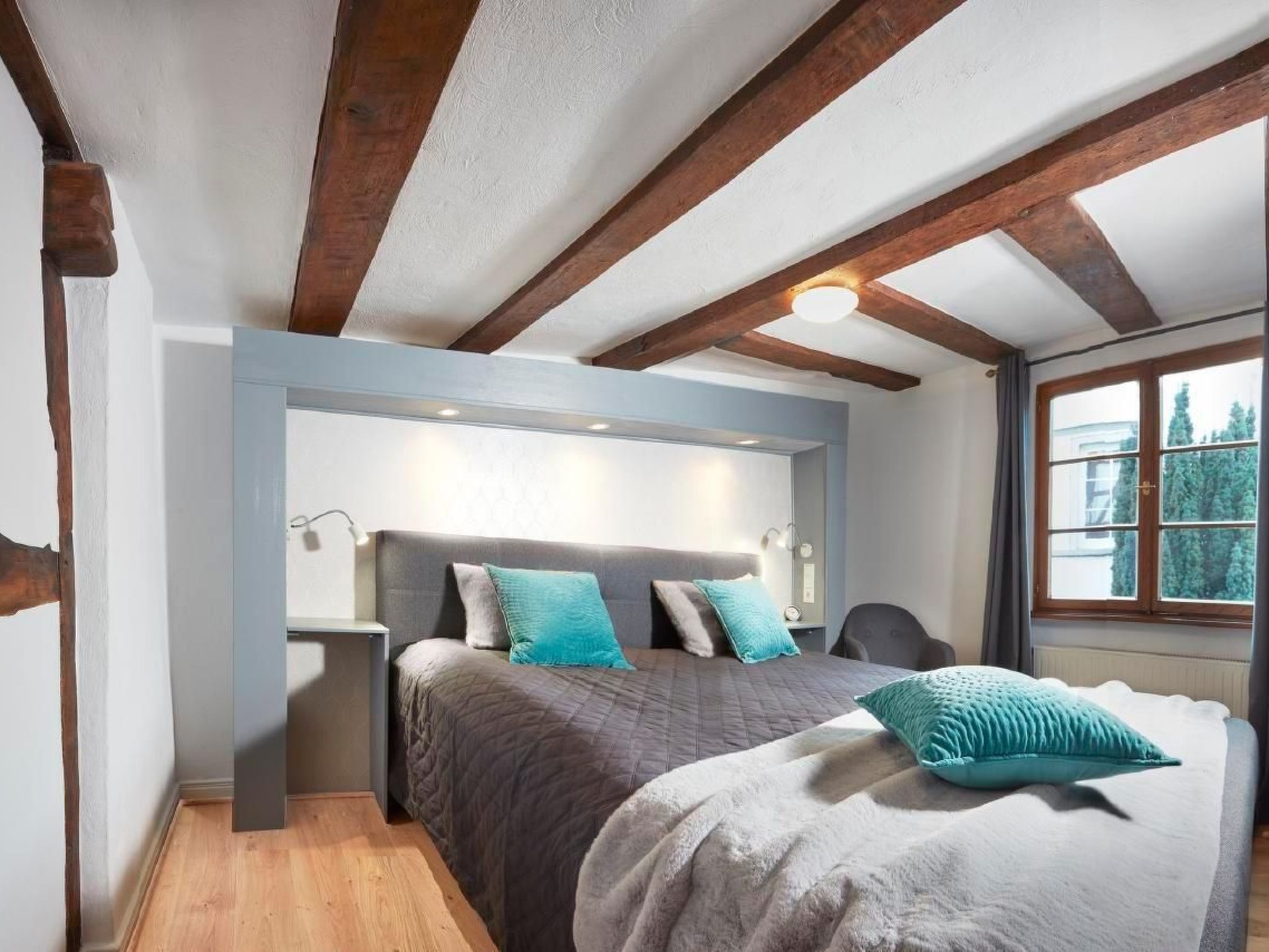 Olive Tree-Image-tags.info