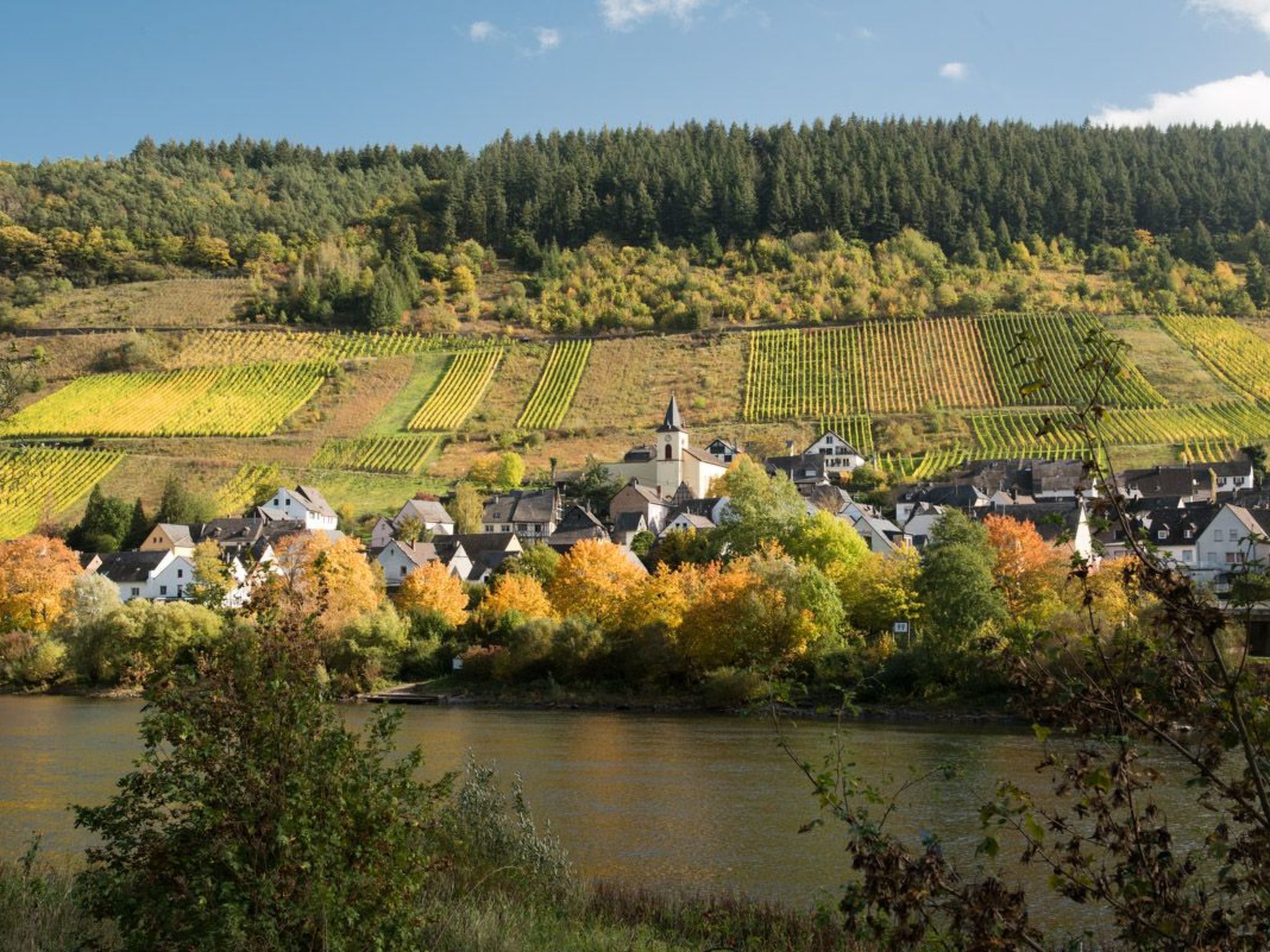 Haus Budinger-Image-tags.info