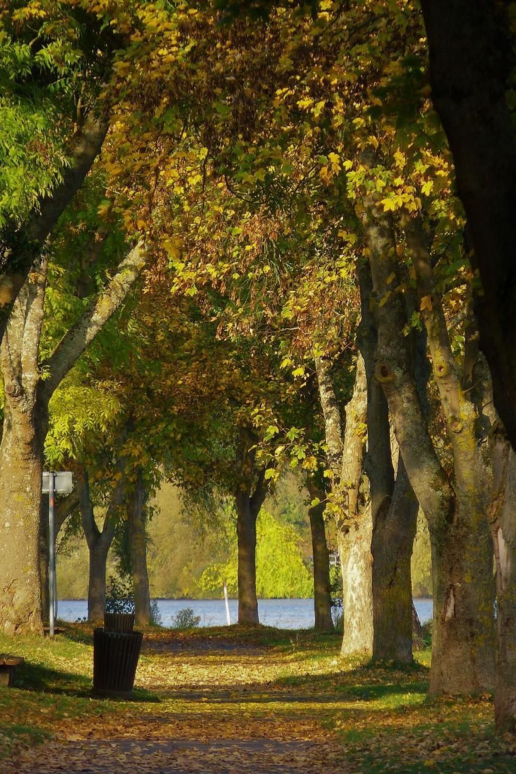 Haus Budinger-Image-tags.info