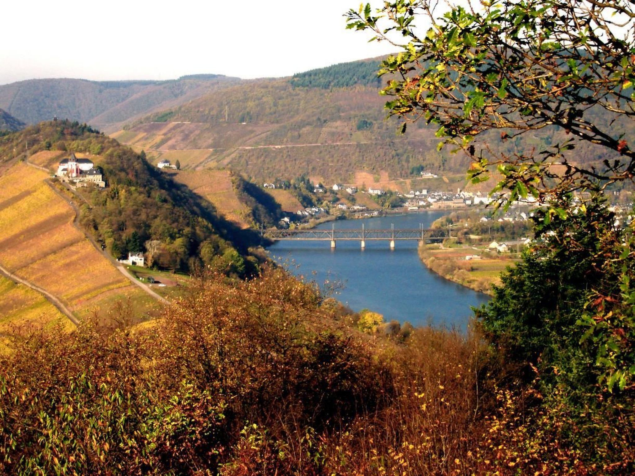 Perle-Lollipop-Image-tags.info