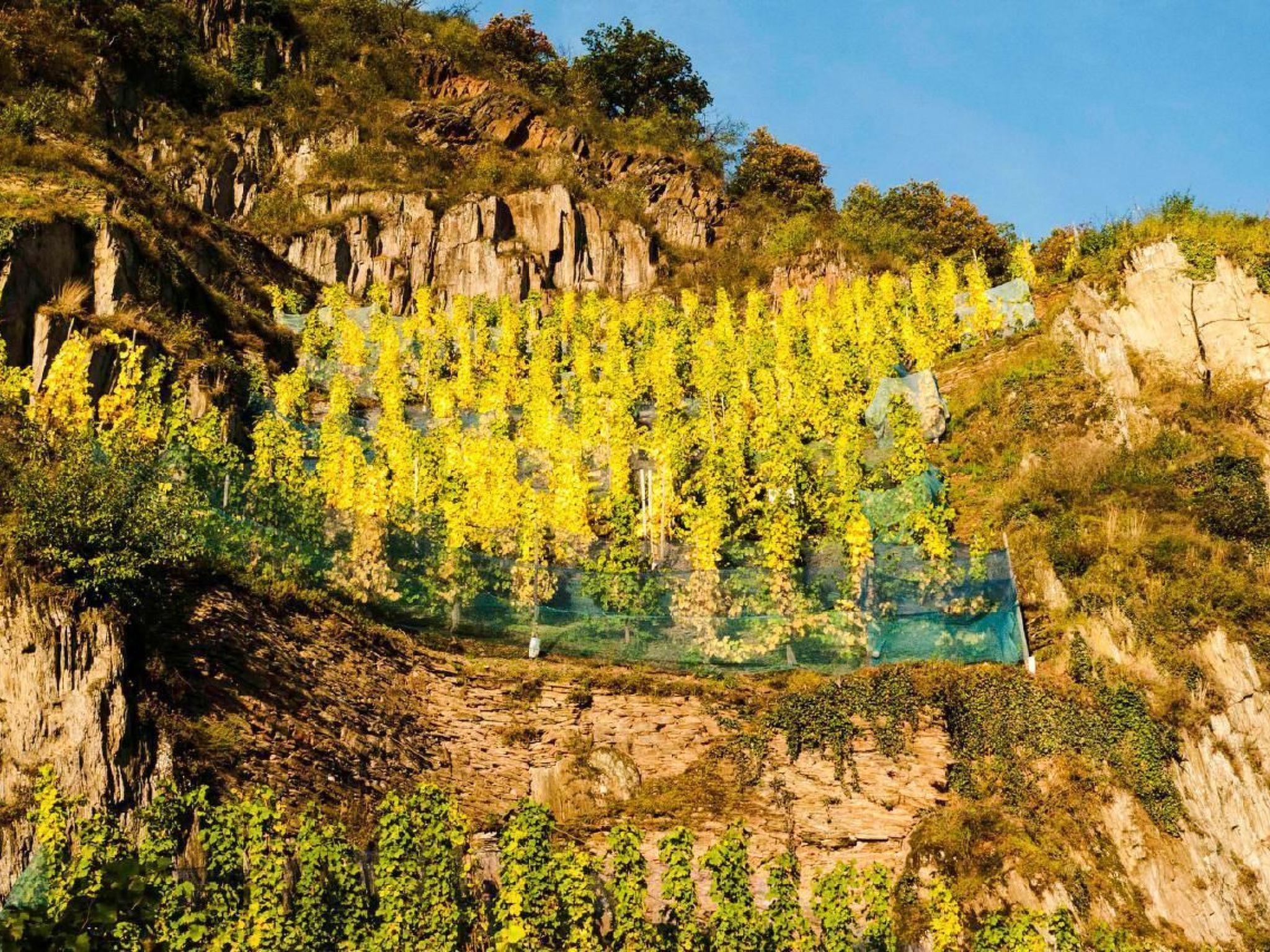 Perle-Lollipop-Dehors