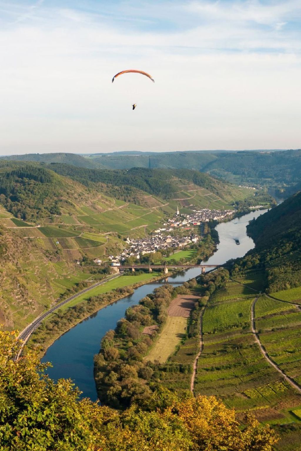 Perle-Lollipop-Image-tags.info