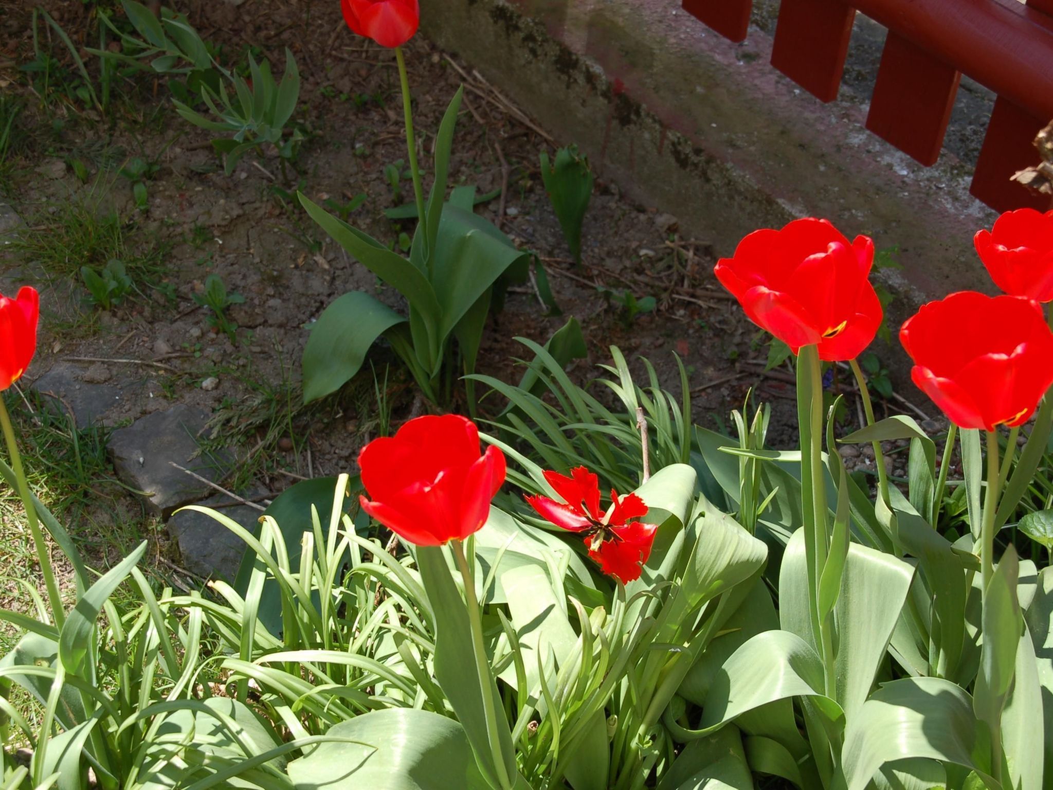 Kolovrat-Image-tags.info