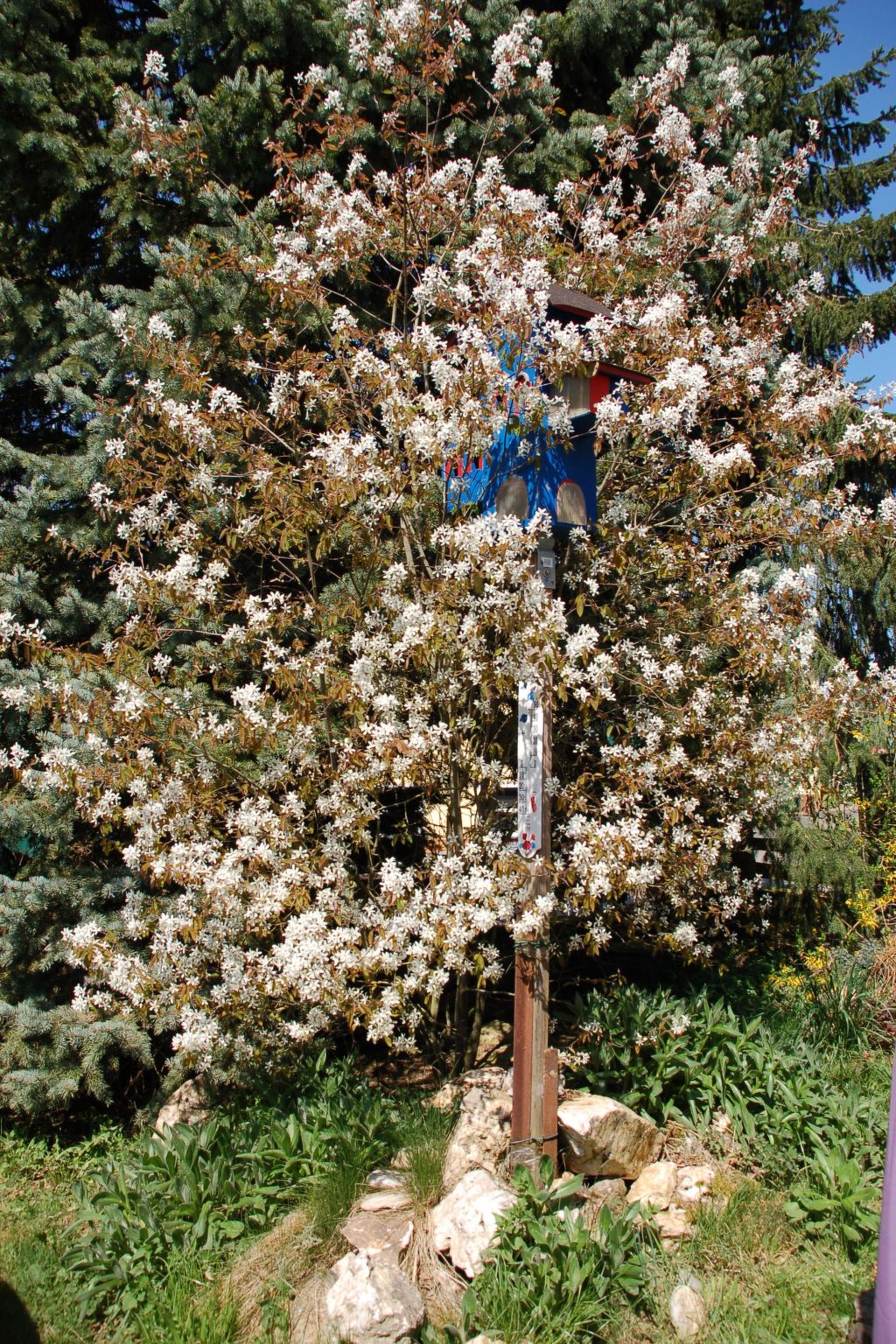 Kolovrat-Image-tags.info