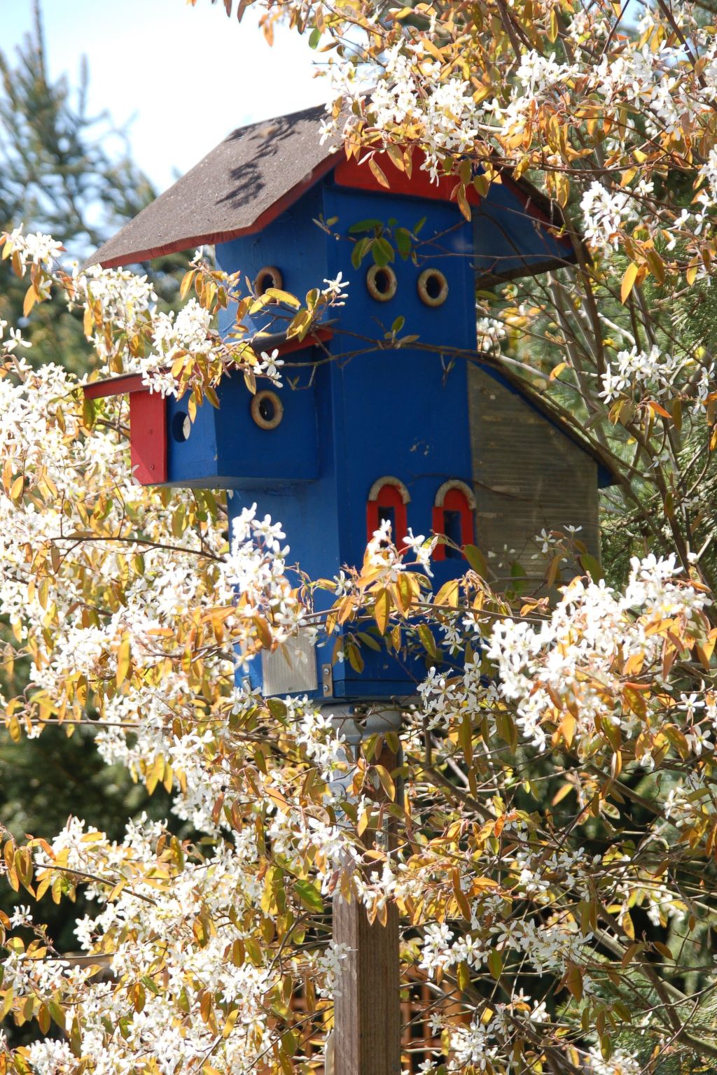 Kolovrat-Image-tags.info