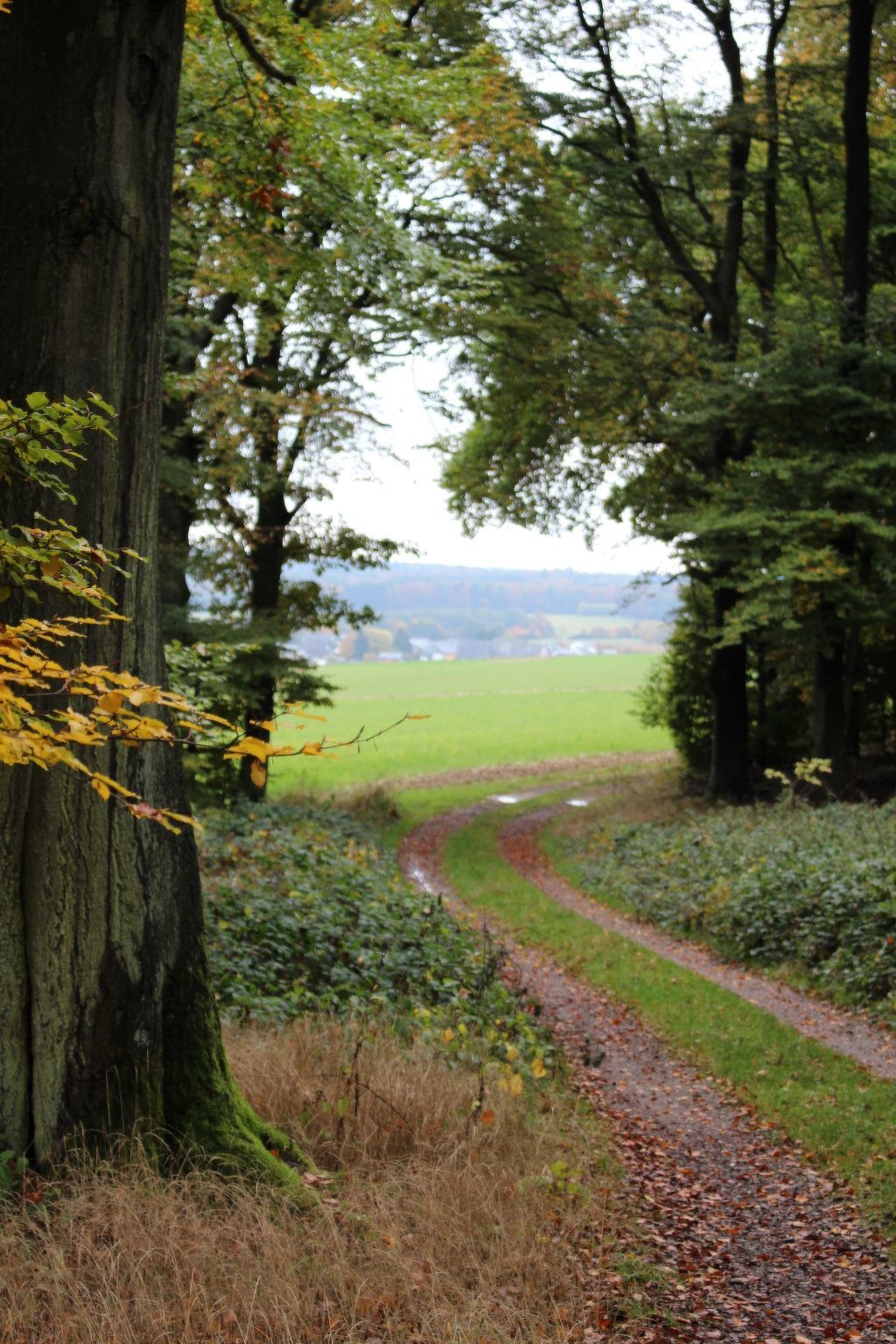 Kolovrat-Image-tags.info