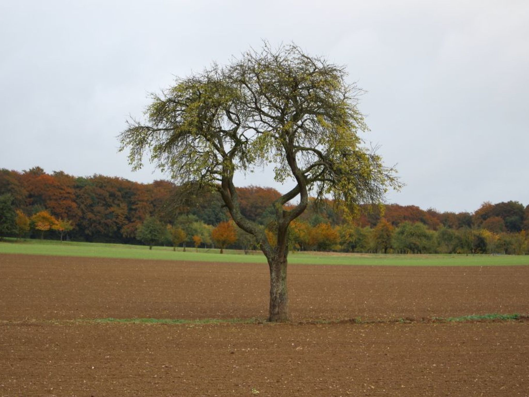 Kolovrat-Image-tags.info