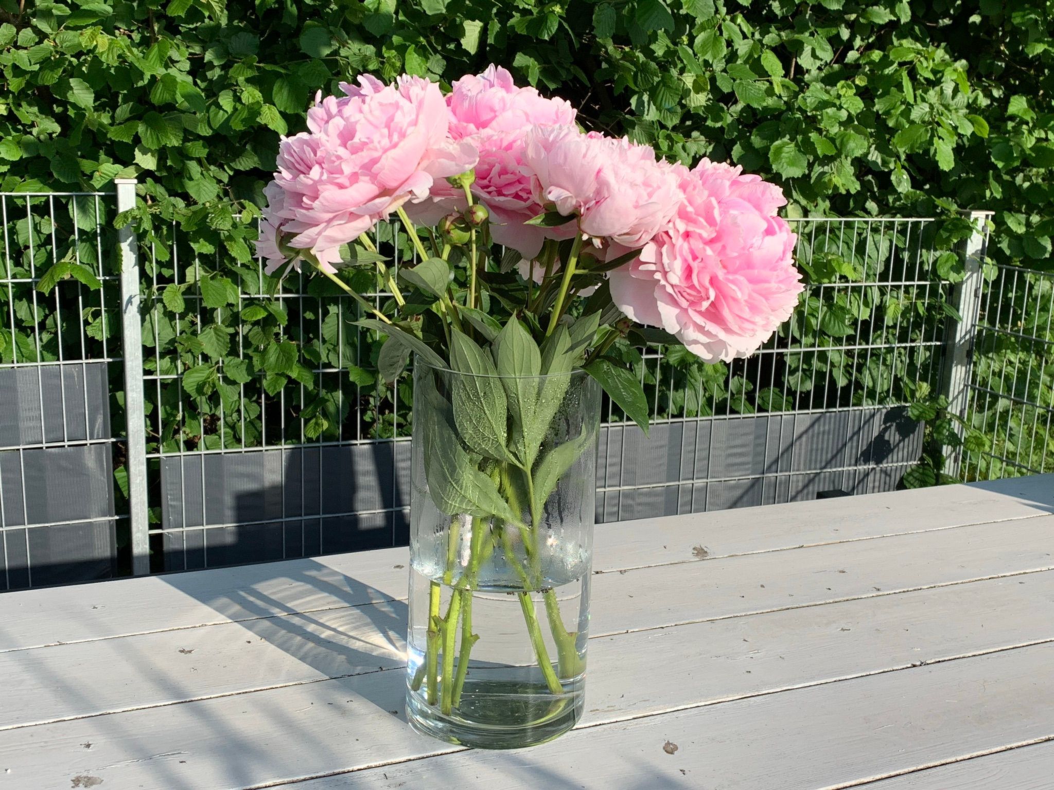 FeWo 5 Jahreszeiten-Binnen