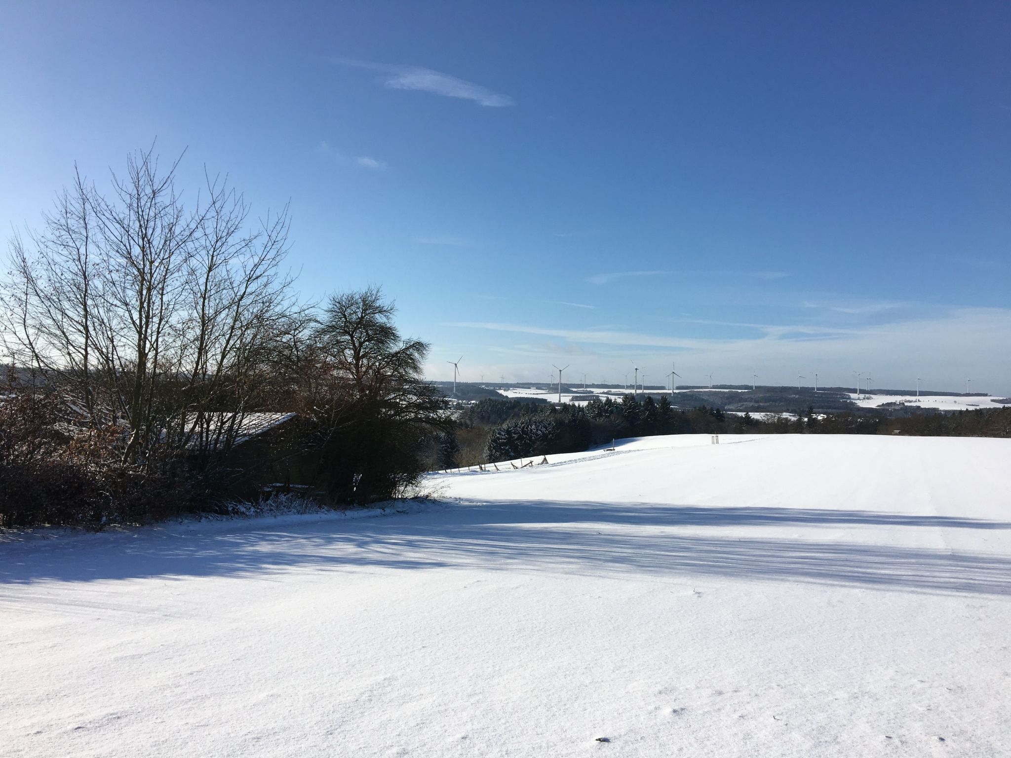 FeWo 5 Jahreszeiten-Binnen