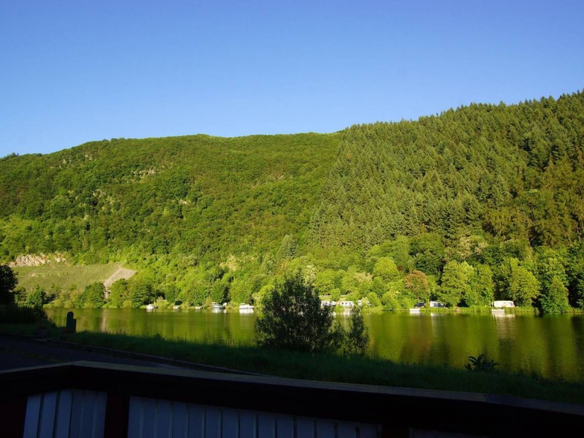 Altes Fährhaus anno 1 6 3 3 - Traumferienwohnung in exponierter Moselufer-Lage-Image-tags.info