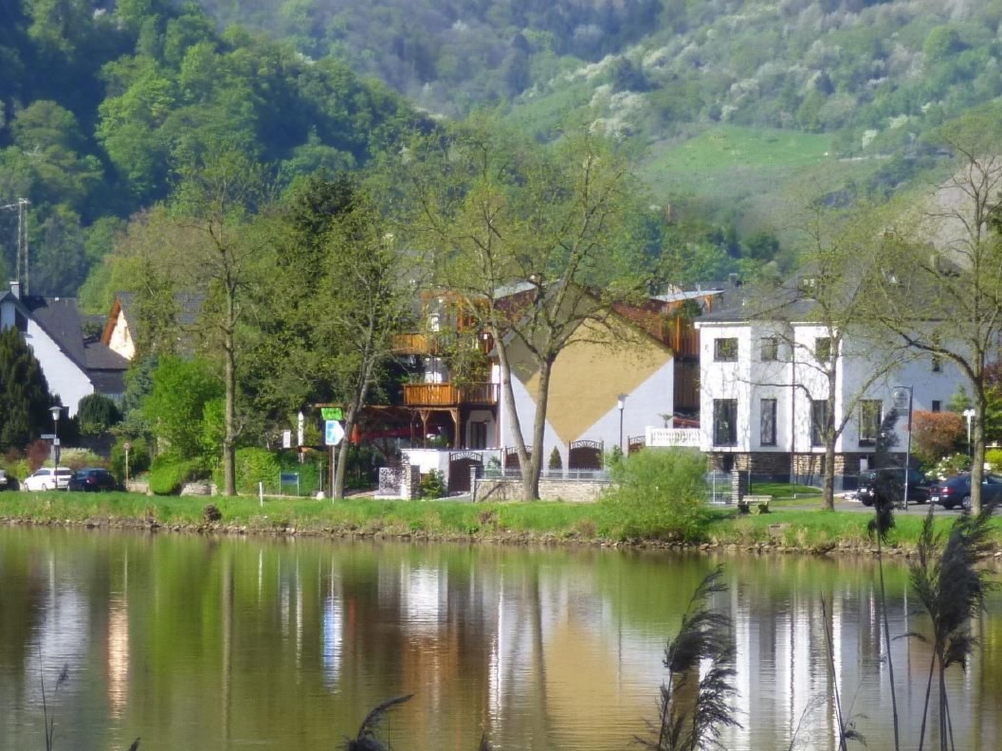 Moselidyll-Traumferienwohnung in exponierter Moselufer-Lage