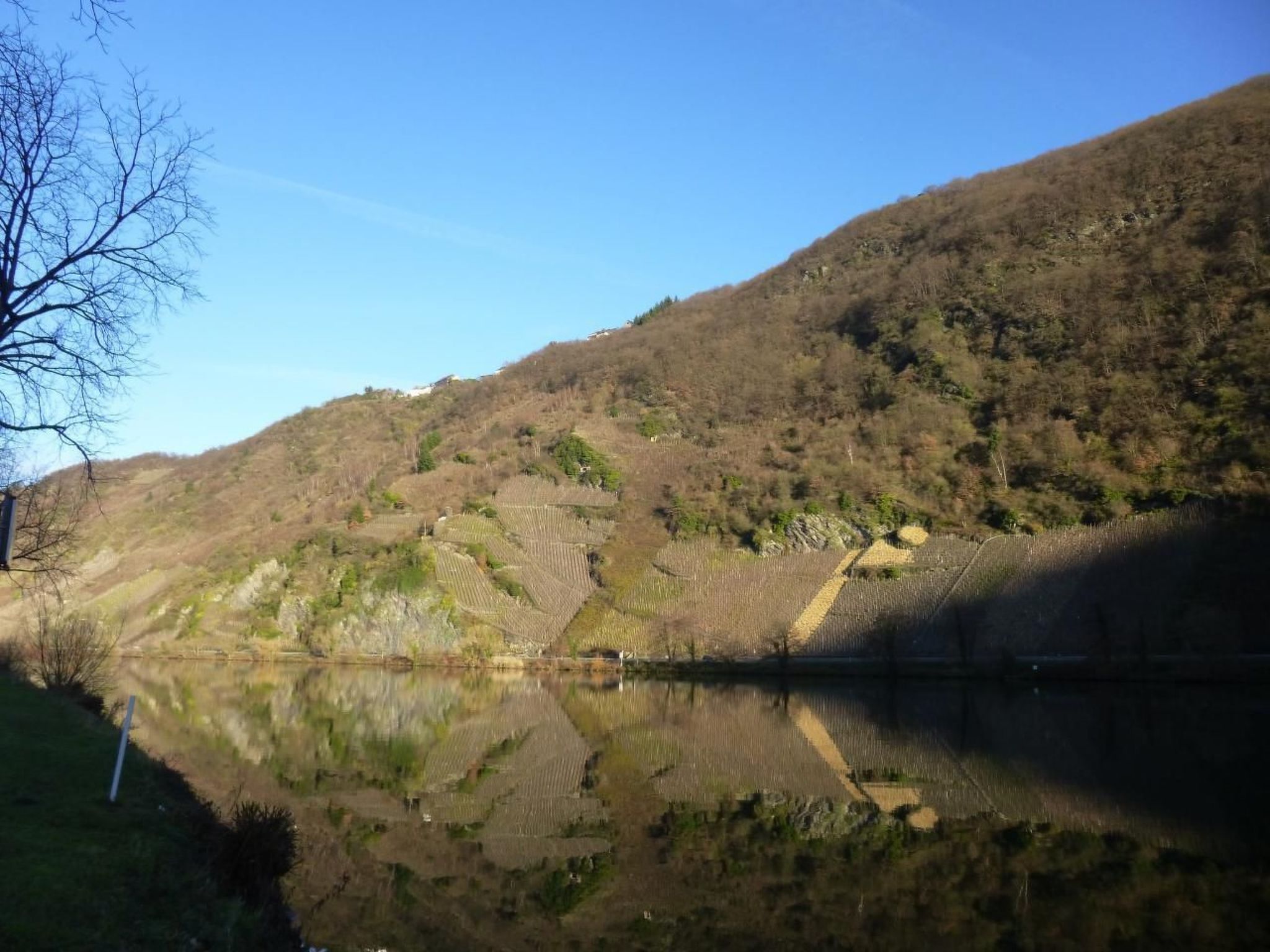 Moselidyll-Traumferienwohnung in exponierter Moselufer-Lage-Image-tags.info