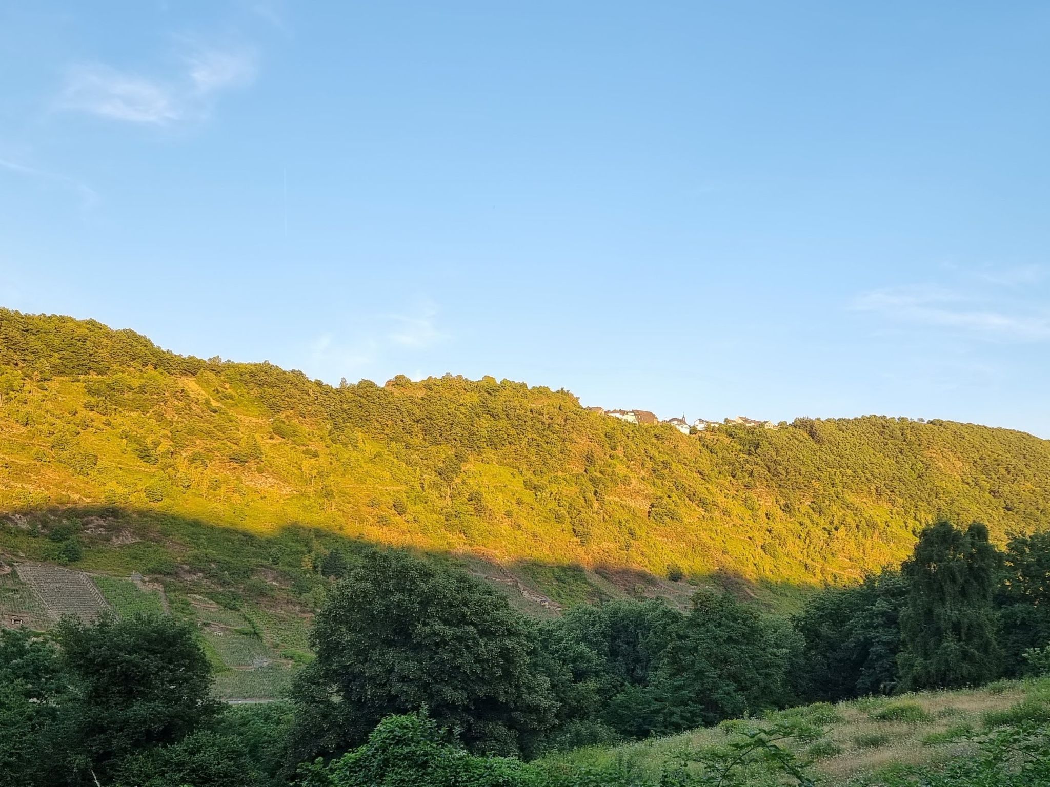 Moselschiefer-Traumferienwohnung am Moselufer-Binnen