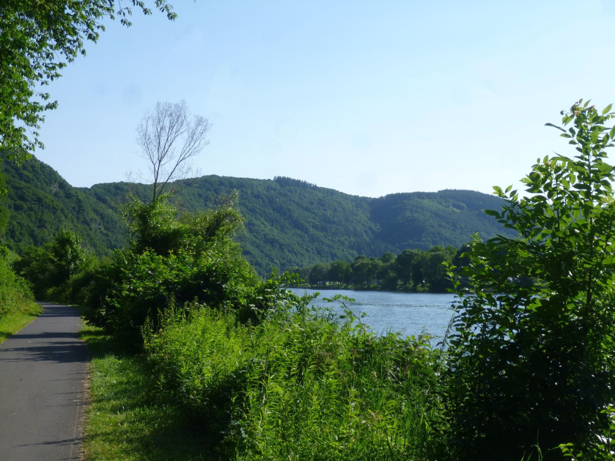 Moselschiefer-Traumferienwohnung am Moselufer-Binnen