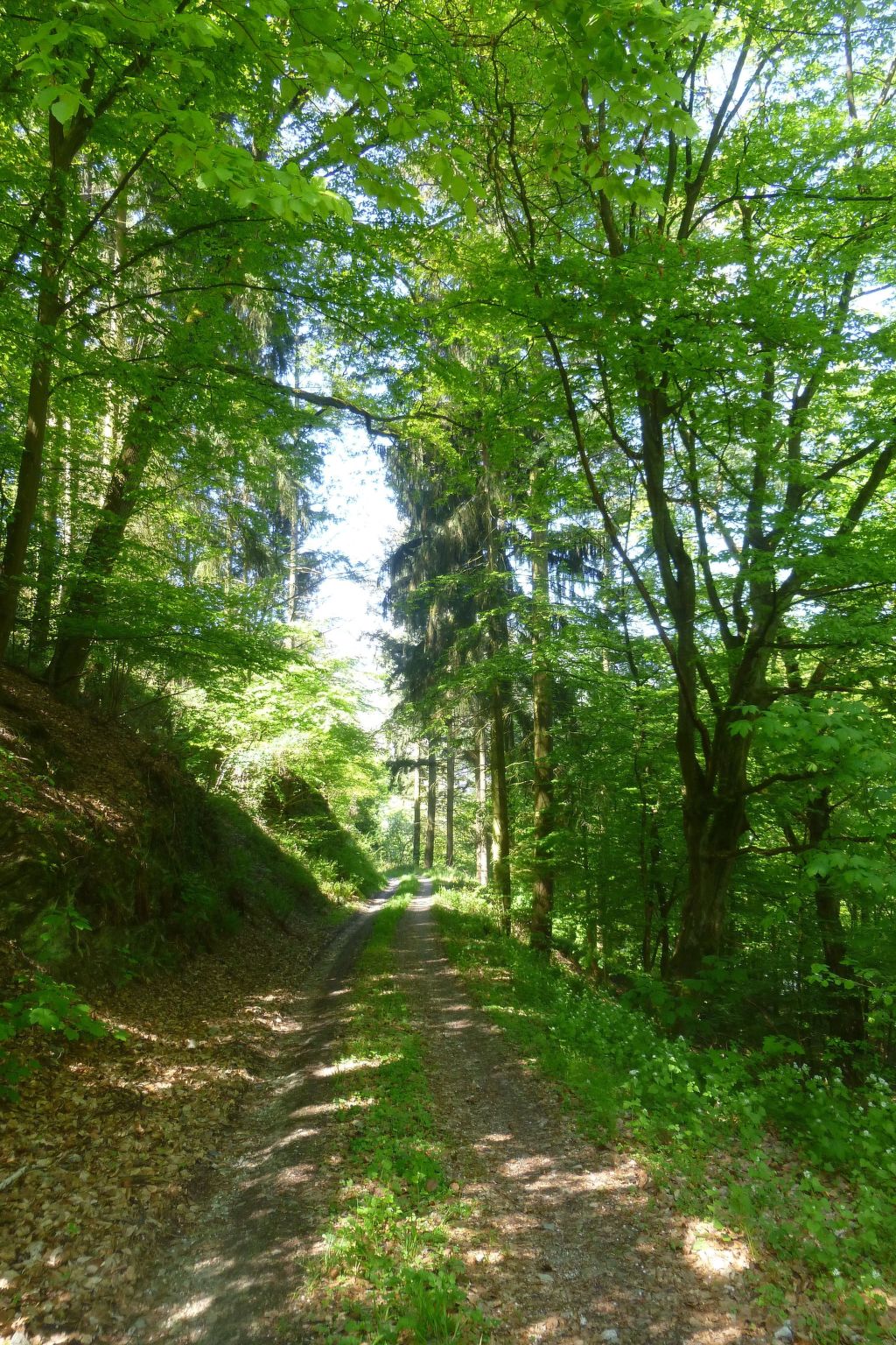 Moselschiefer-Traumferienwohnung am Moselufer-Binnen