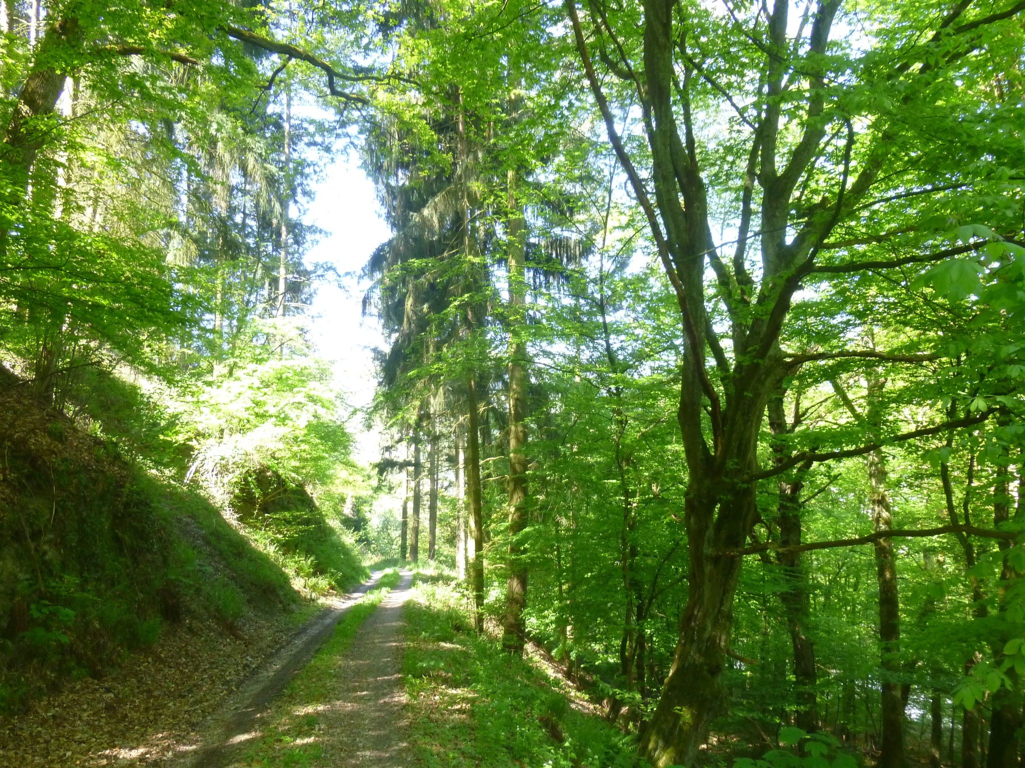 Moselschiefer-Traumferienwohnung am Moselufer-Binnen
