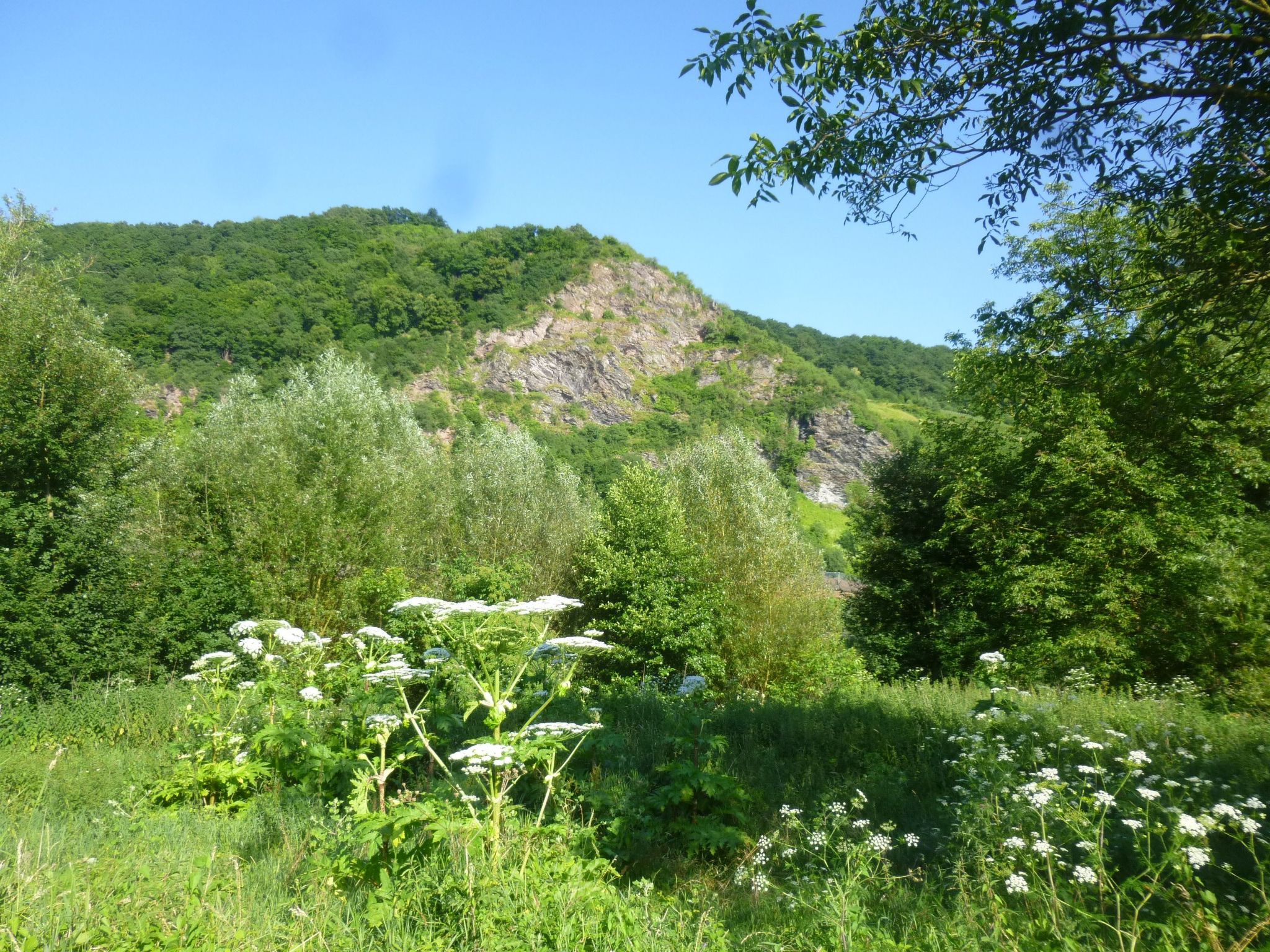Moselschiefer-Traumferienwohnung am Moselufer-Binnen