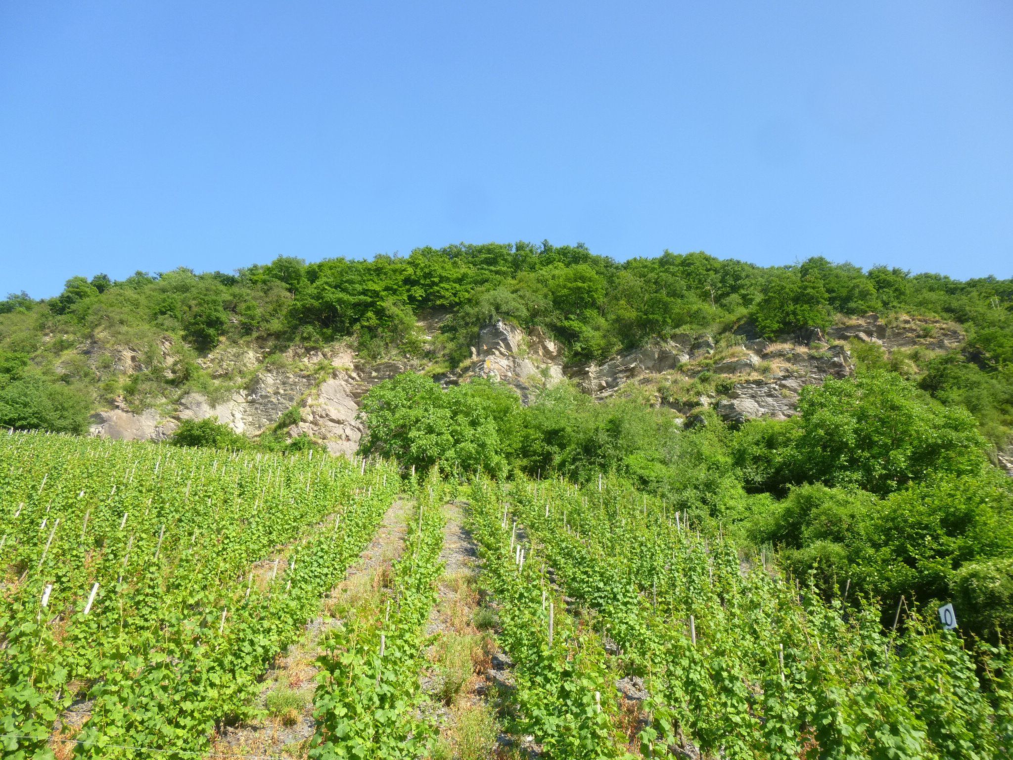 Moselschiefer-Traumferienwohnung am Moselufer-Binnen