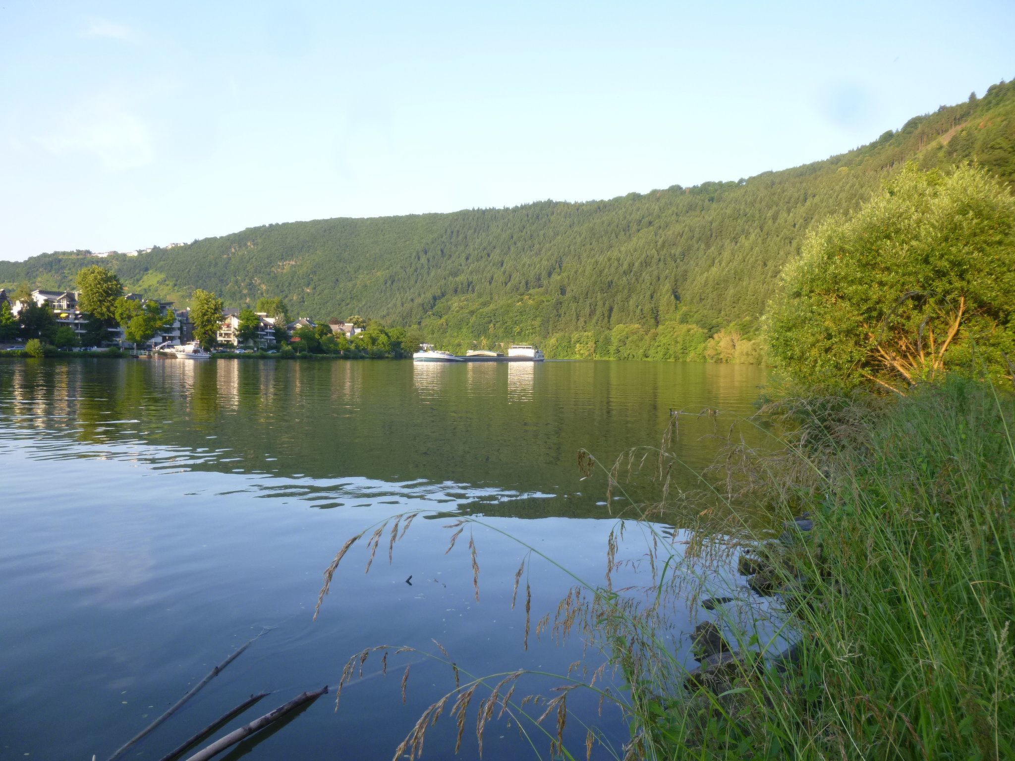 Moselschiefer-Traumferienwohnung am Moselufer-Binnen