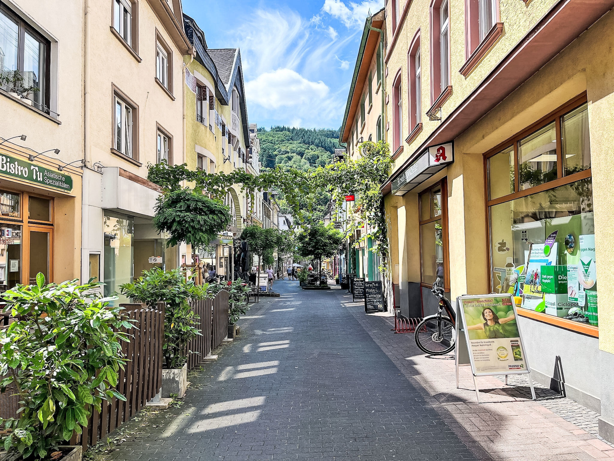 MoselRoyal NEU Luxus 2-4 P. Moselblick Klima-Area