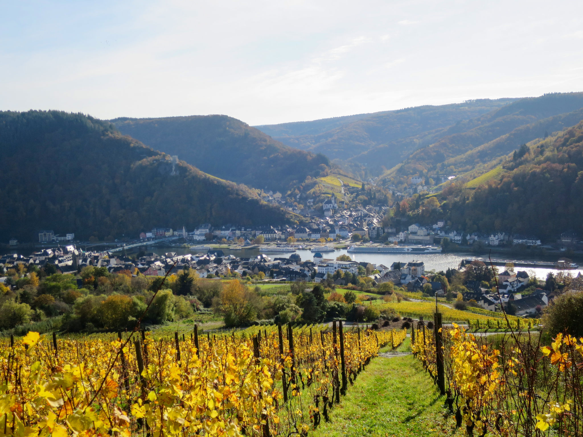 Moselromance mit großer Sonnenterrasse-Area