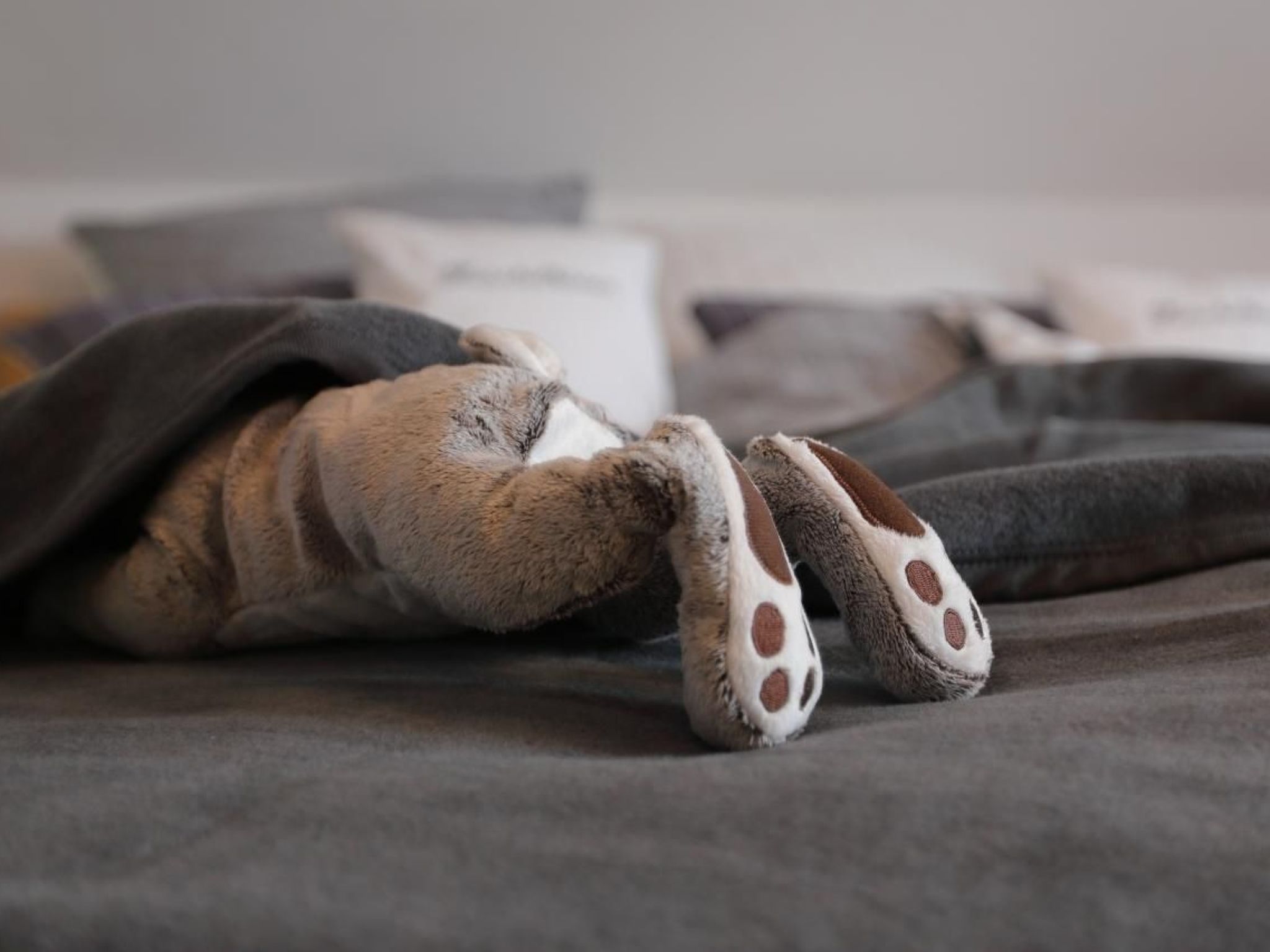 Appartement in Mastershausen mit Terrasse, Garten und Grill-Image-tags.info