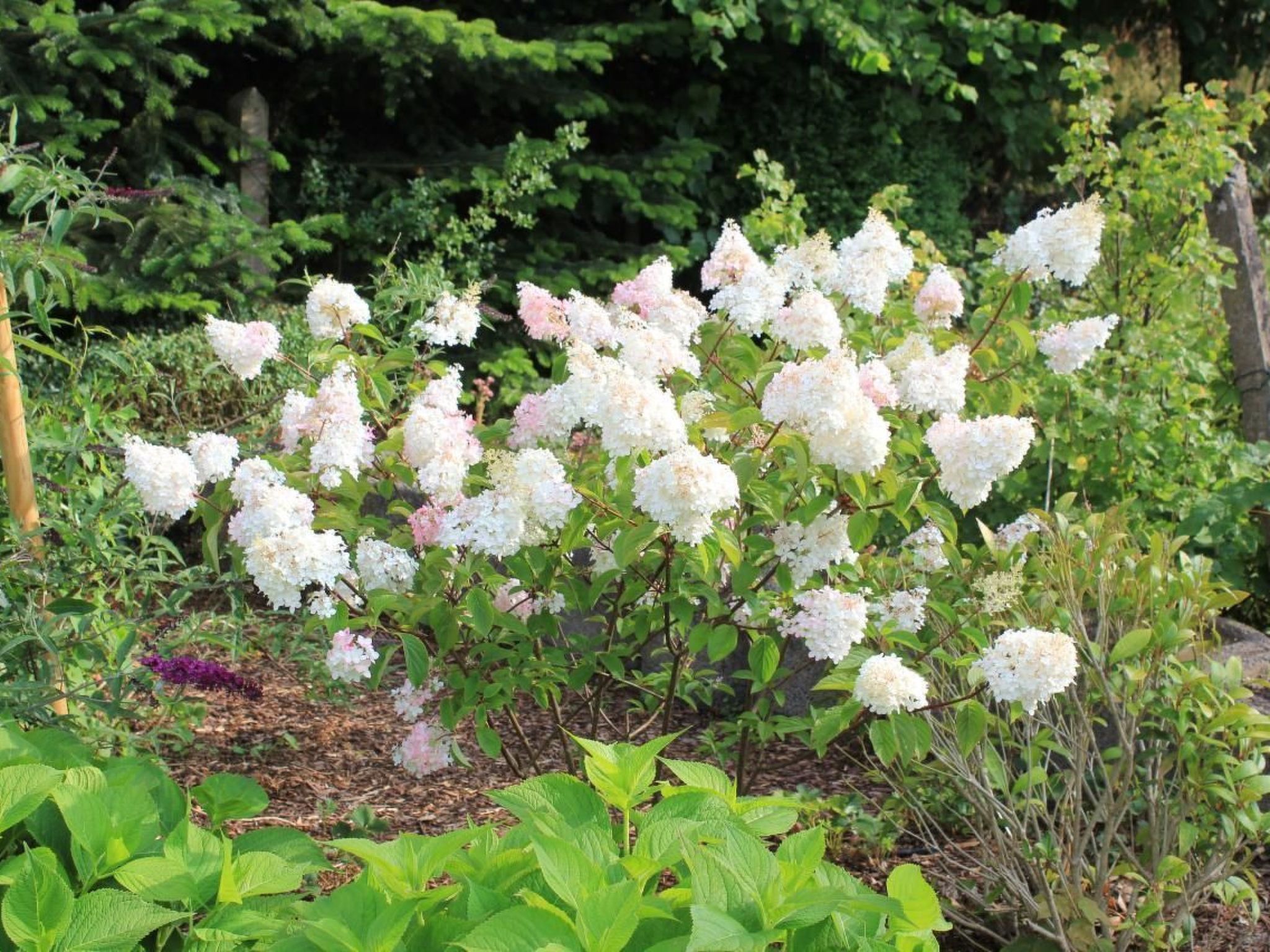 Appartement in Mastershausen mit Terrasse, Garten und Grill-Image-tags.info