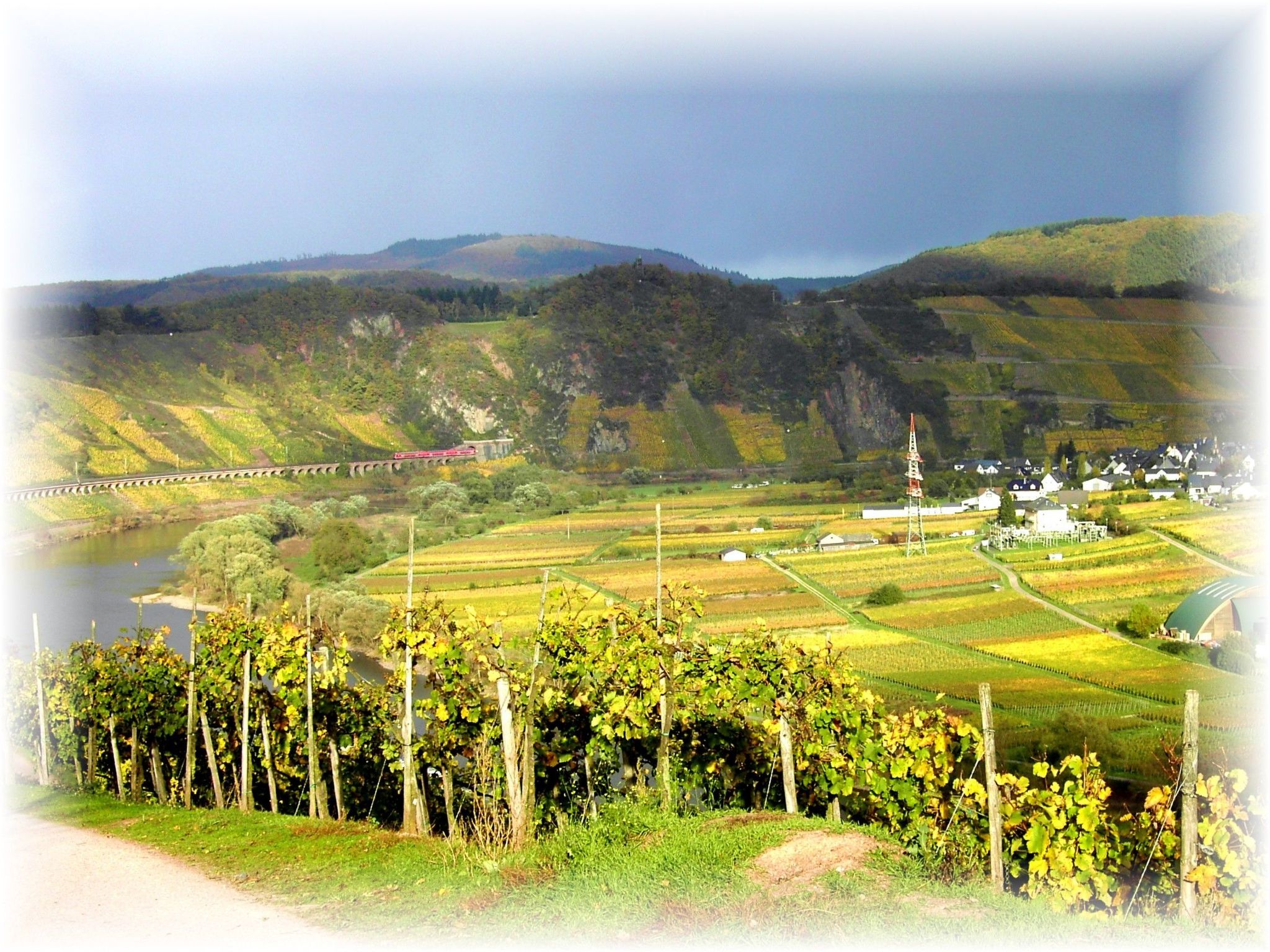 Zur Mosel-Image-tags.info