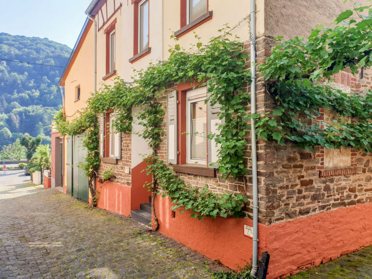 Ferienwohnung Falkenhorst