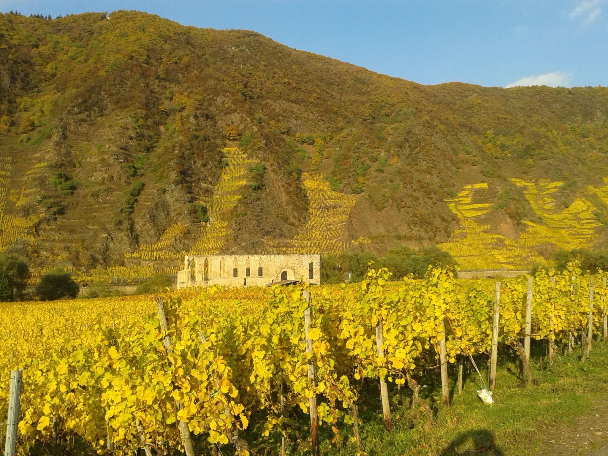 Historisches Fachwerkhaus mit modernem Komfort direkt an der Mosel - Buiten