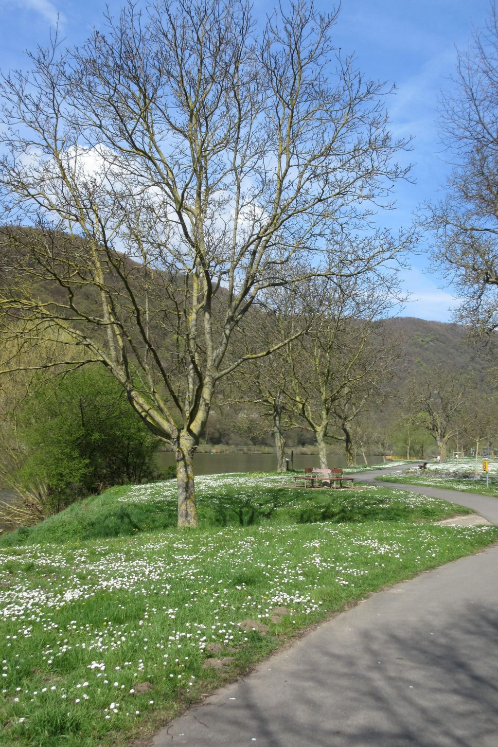 Historisches Fachwerkhaus mit modernem Komfort direkt an der Mosel - Buiten