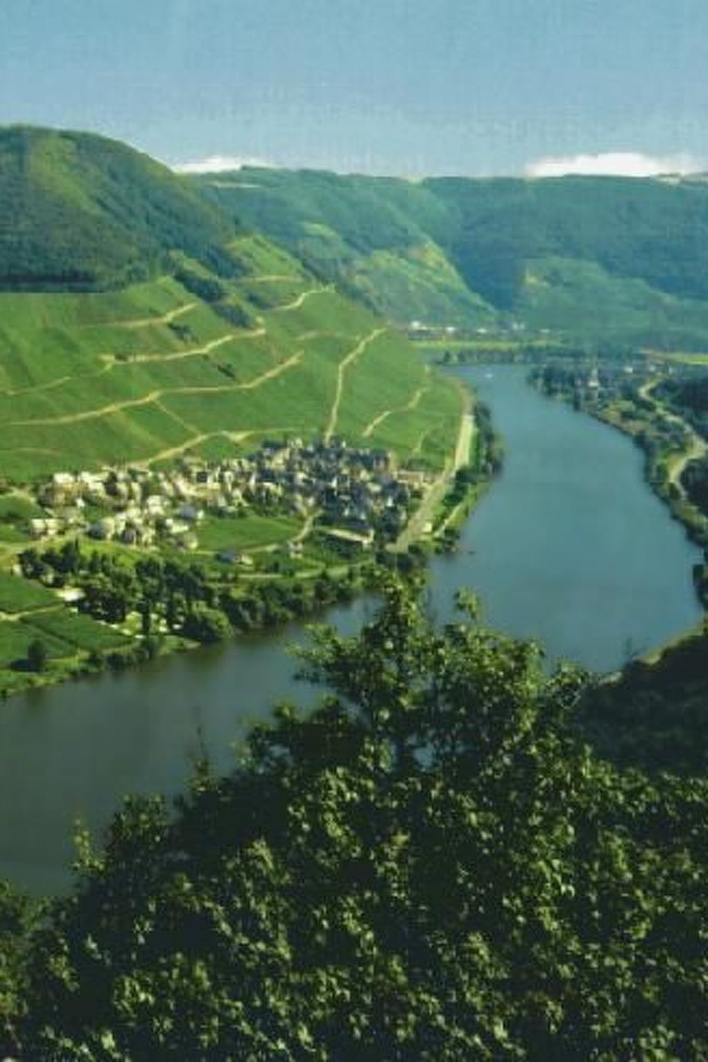 Altes Winzerhaus in Mesenich-Binnen