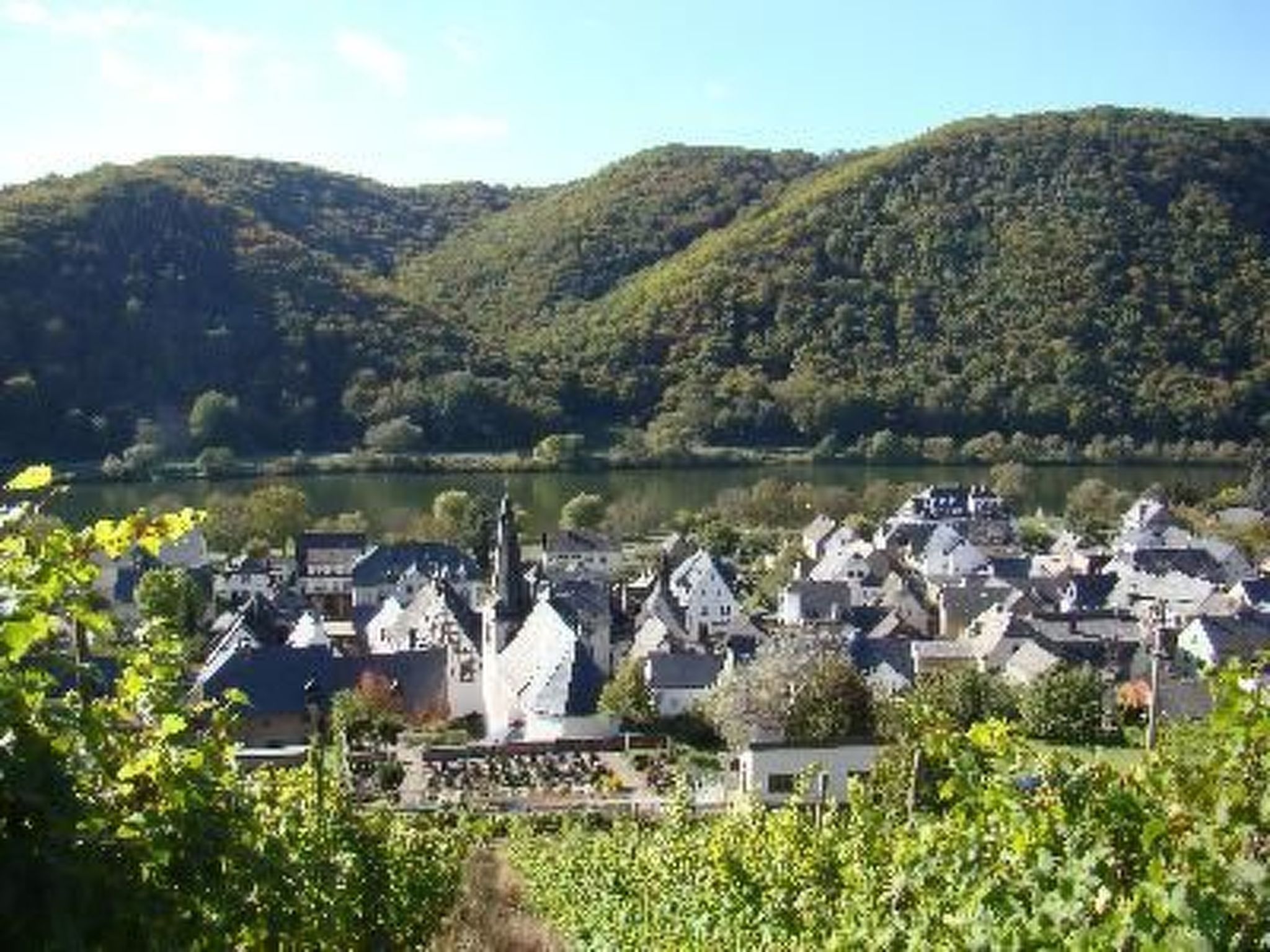Altes Winzerhaus in Mesenich-Binnen