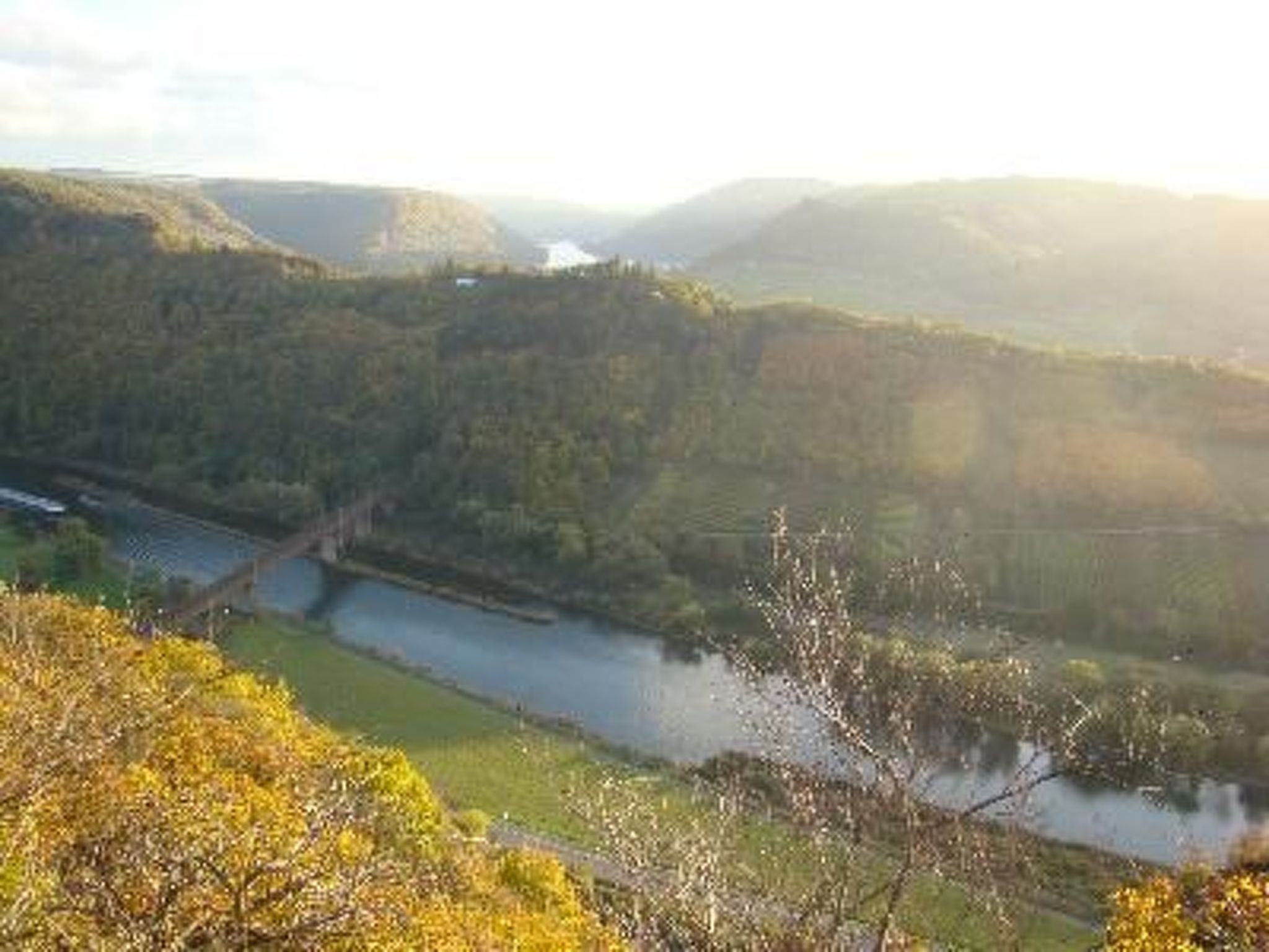 Altes Winzerhaus in Mesenich-Binnen