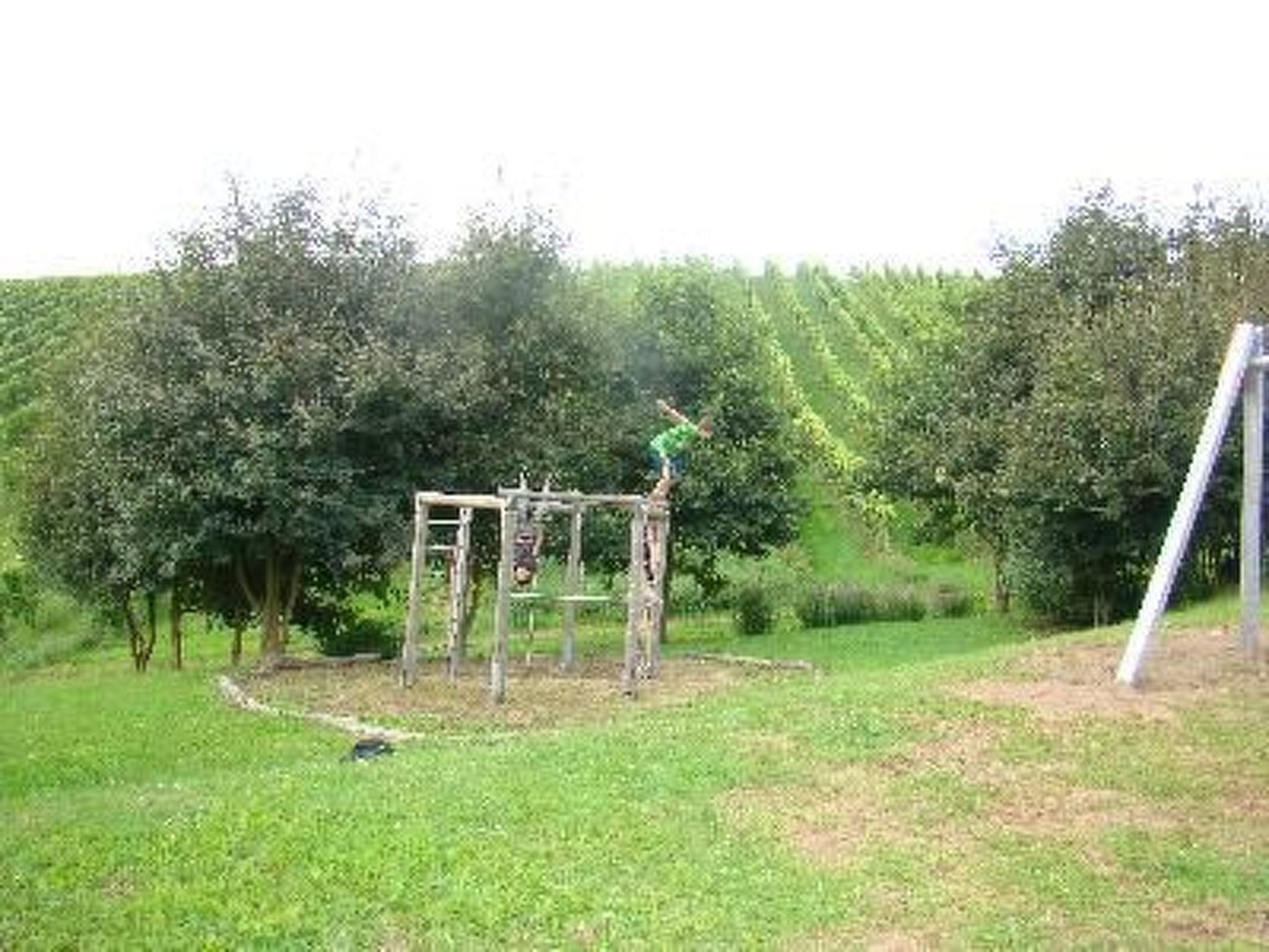 Altes Winzerhaus in Mesenich-Binnen