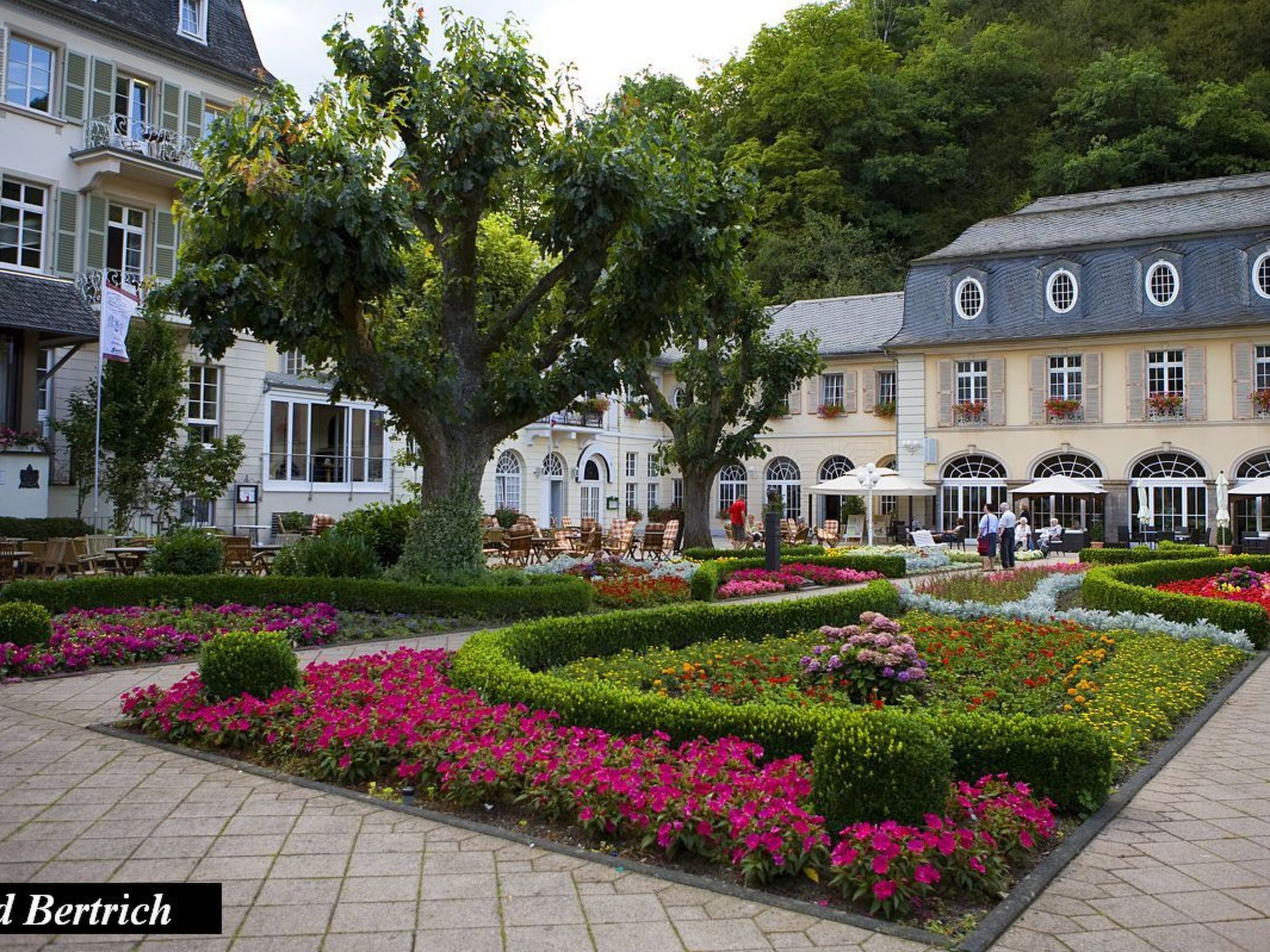 Iris 2-Image-tags.info