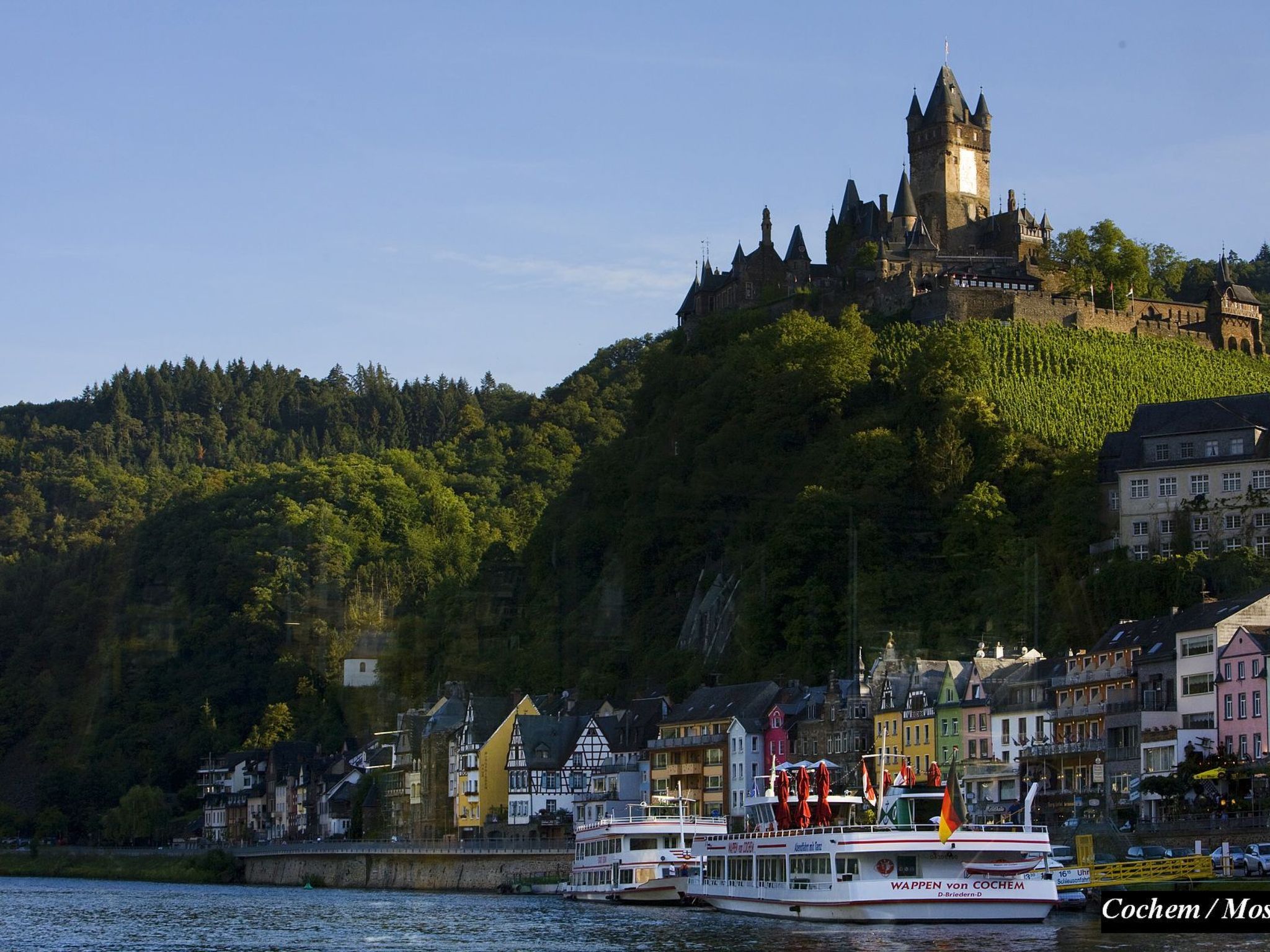 Iris 2-Image-tags.info