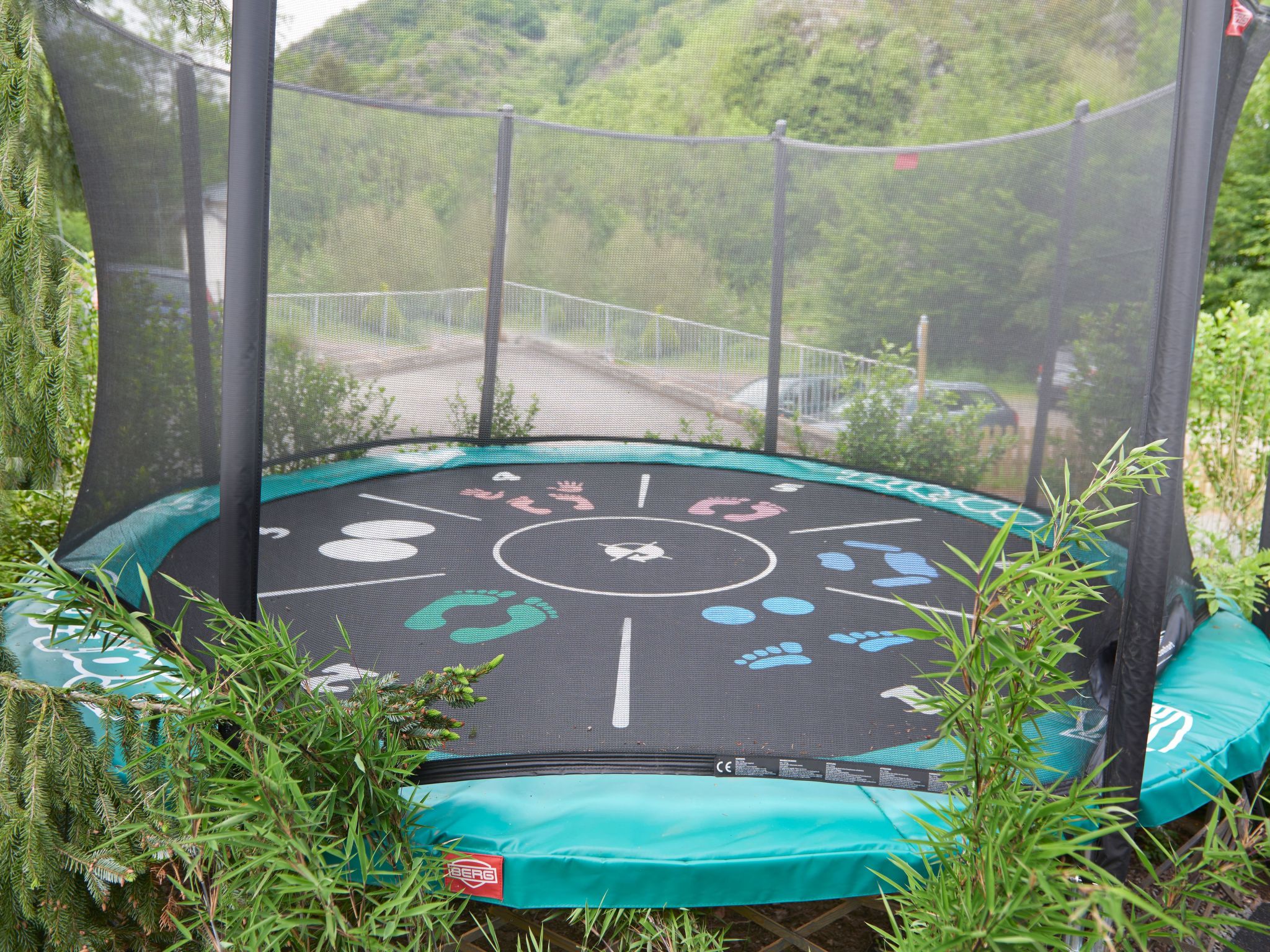 Apple Tree , direkt an der Mosel-Image-tags.info