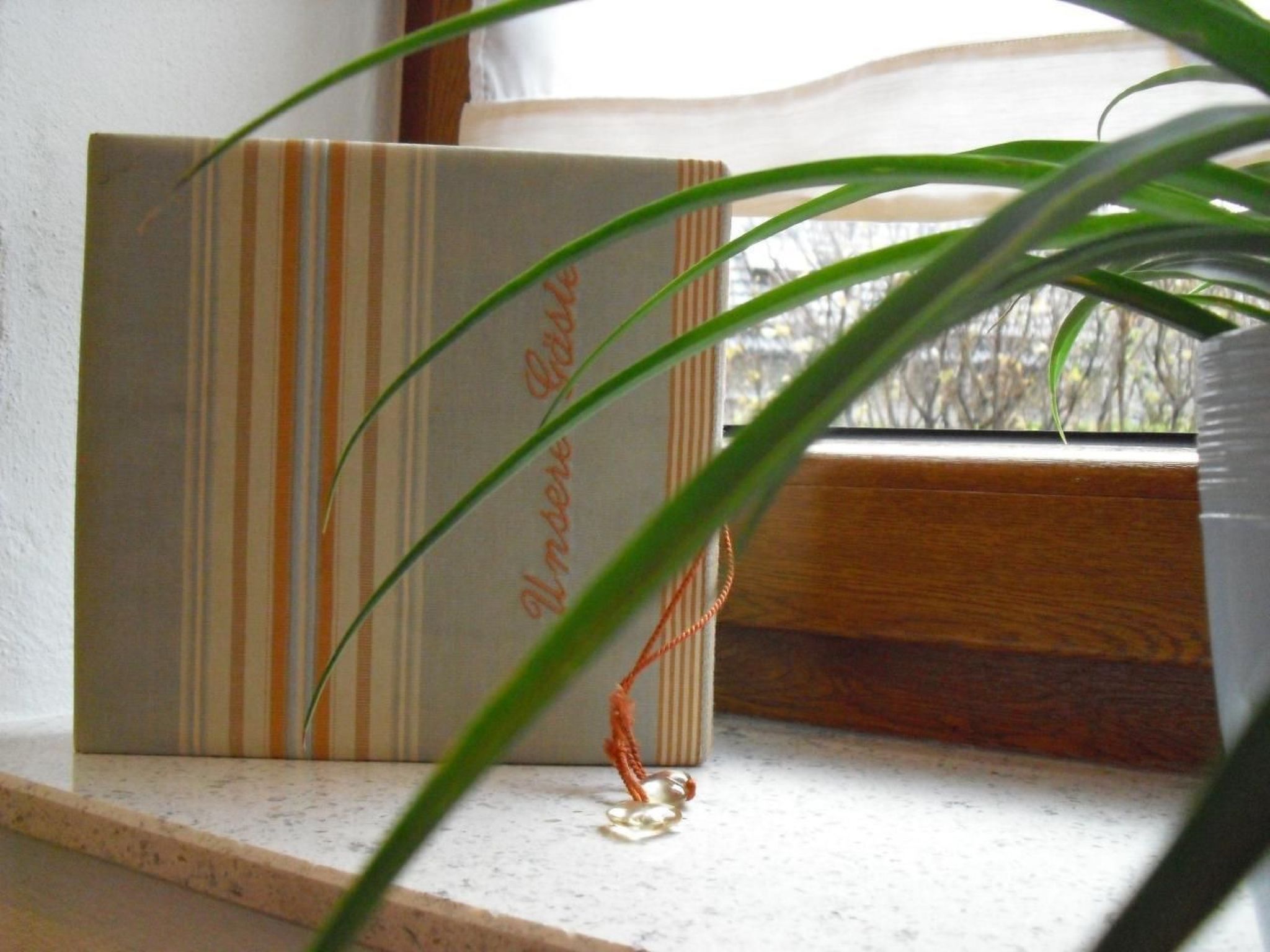 Haus Schnurbus-Binnen