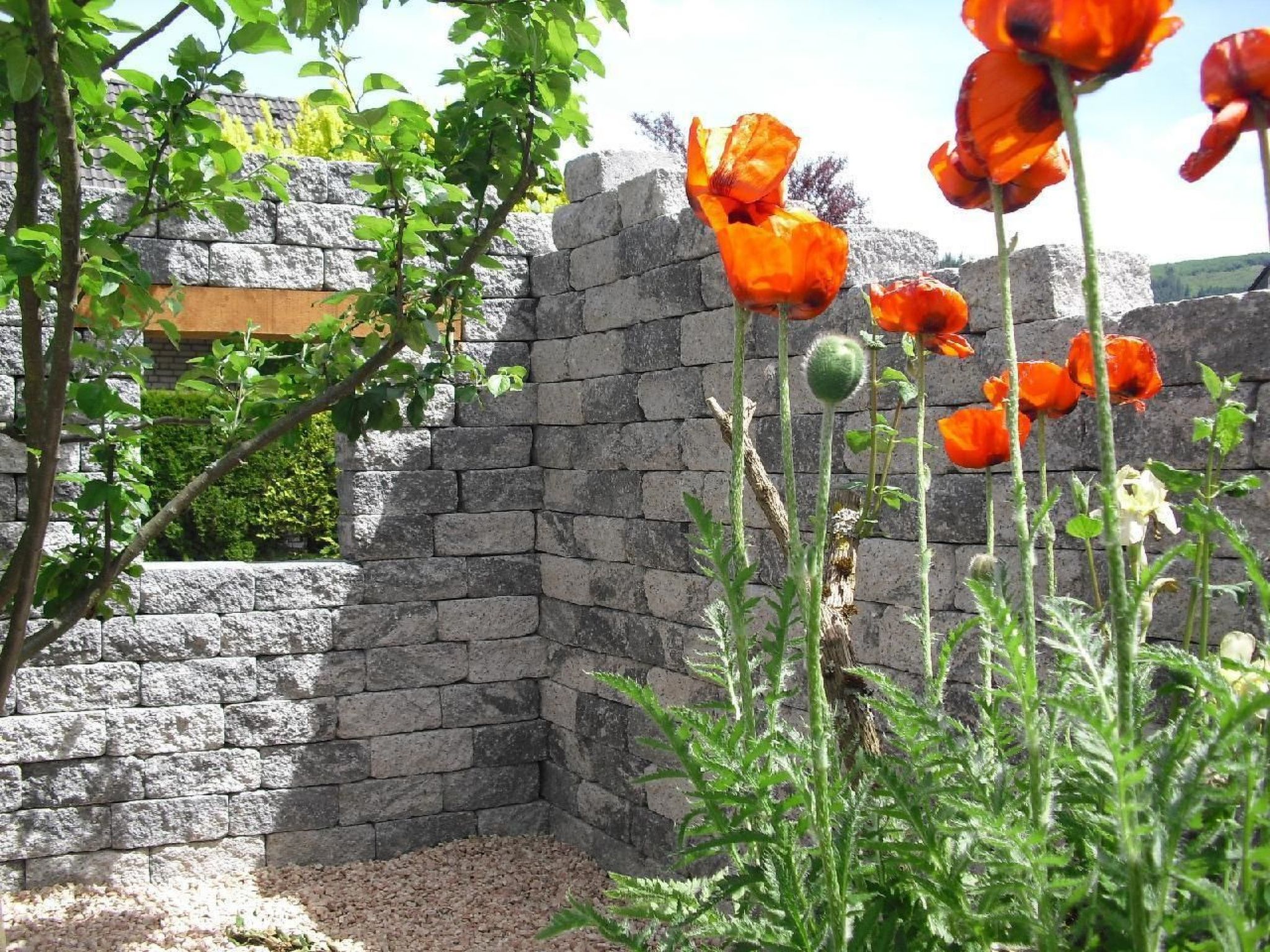 Haus Schnurbus-Binnen