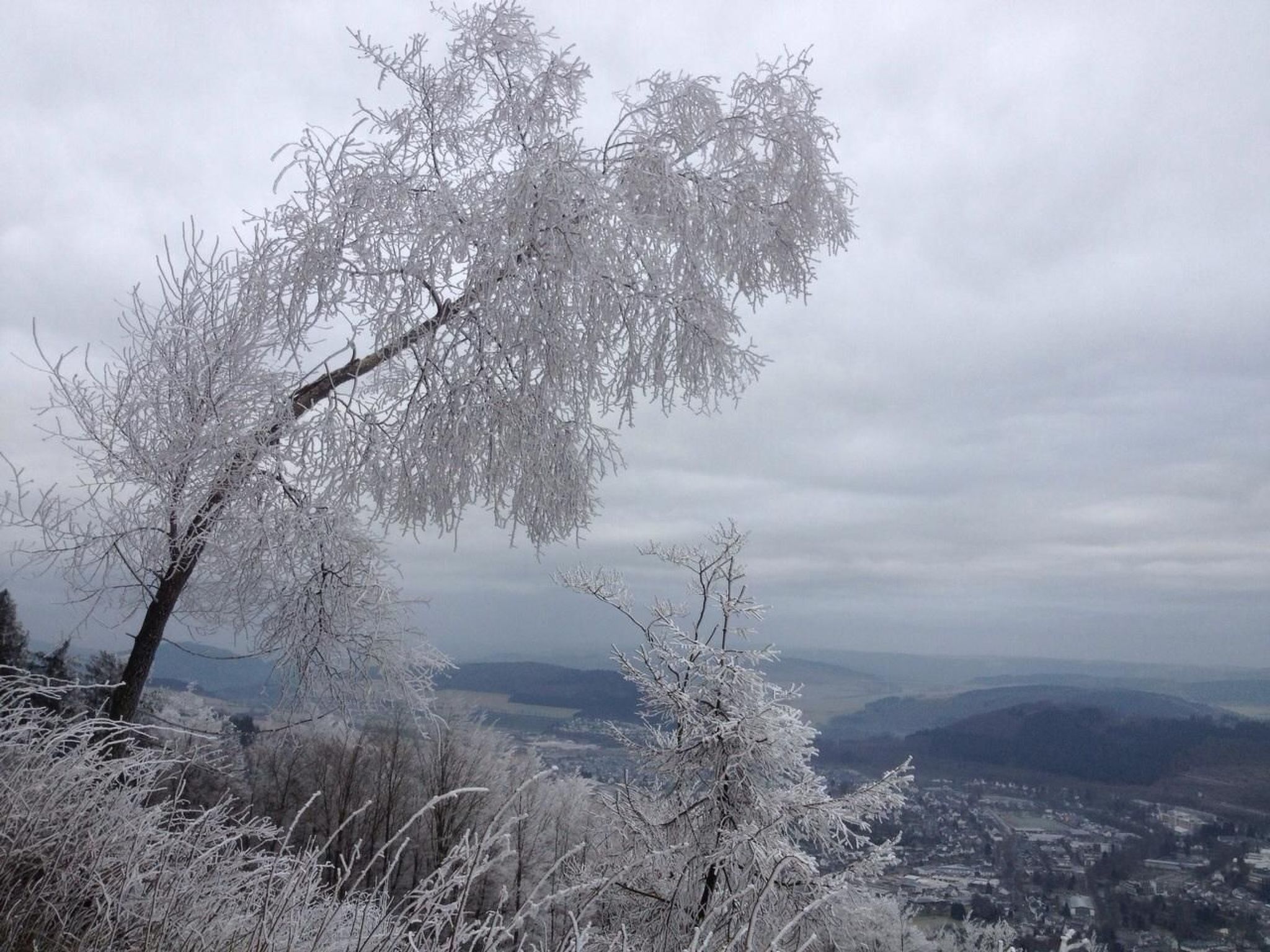 Haus Schnurbus-Binnen