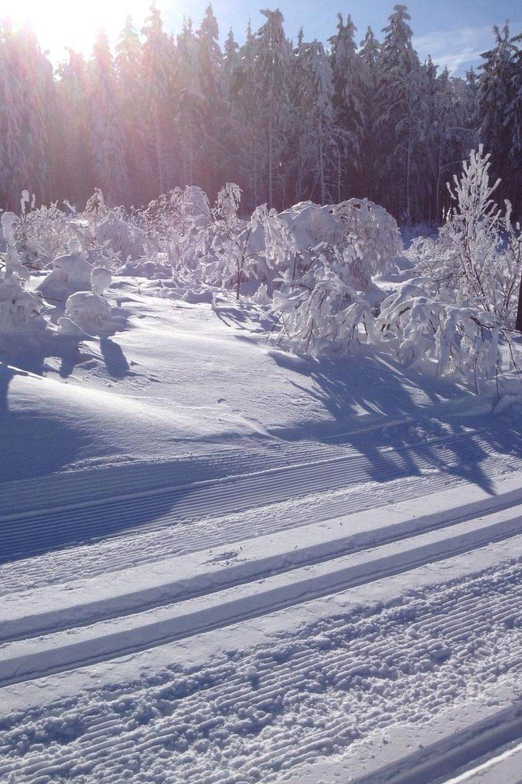 Haus Schnurbus-Binnen
